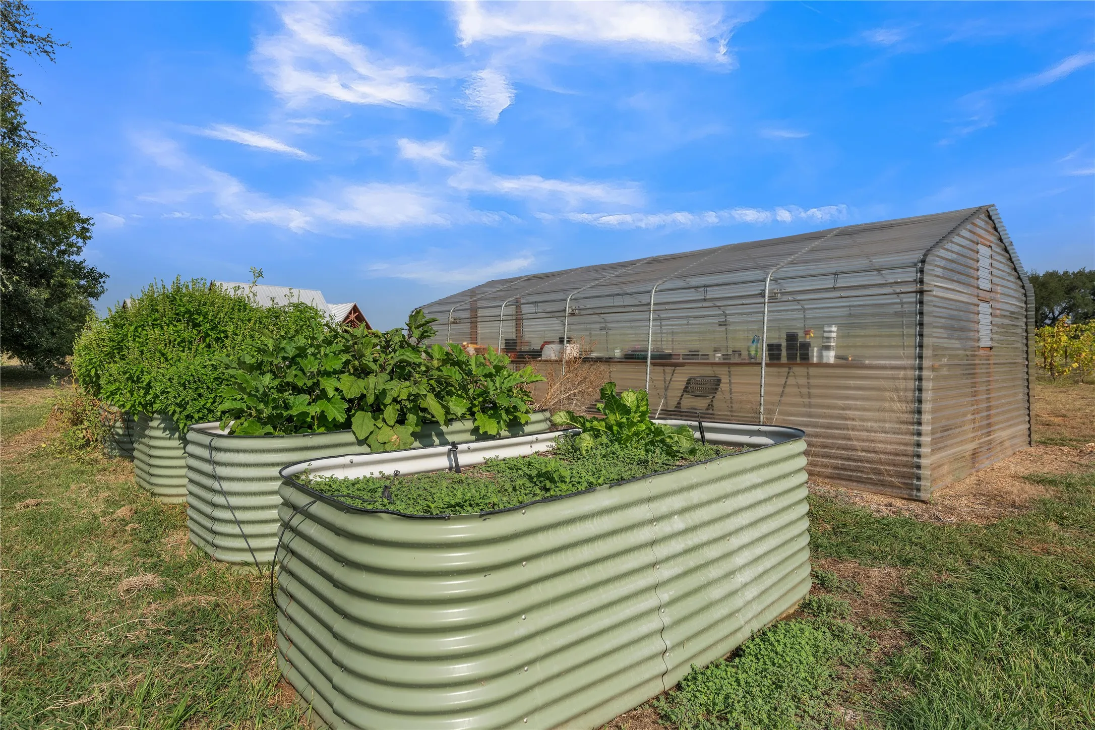 Farm For Sale in Erath County , 25270 East State Highway 6, Hico, Texas 76457, 4 Bedroom, 5 Bathroom, 2 Garage spaces, 2,763 Sqft, built in 2020, mls#21368172, Real Estate Agent in Hico, Homes For Sale in Erath county, Homes For Sale in Hico, Realtor in Hico Texas, Real Estate Brokerage Independent Realty Texas, Luminita Cordes Realtor
