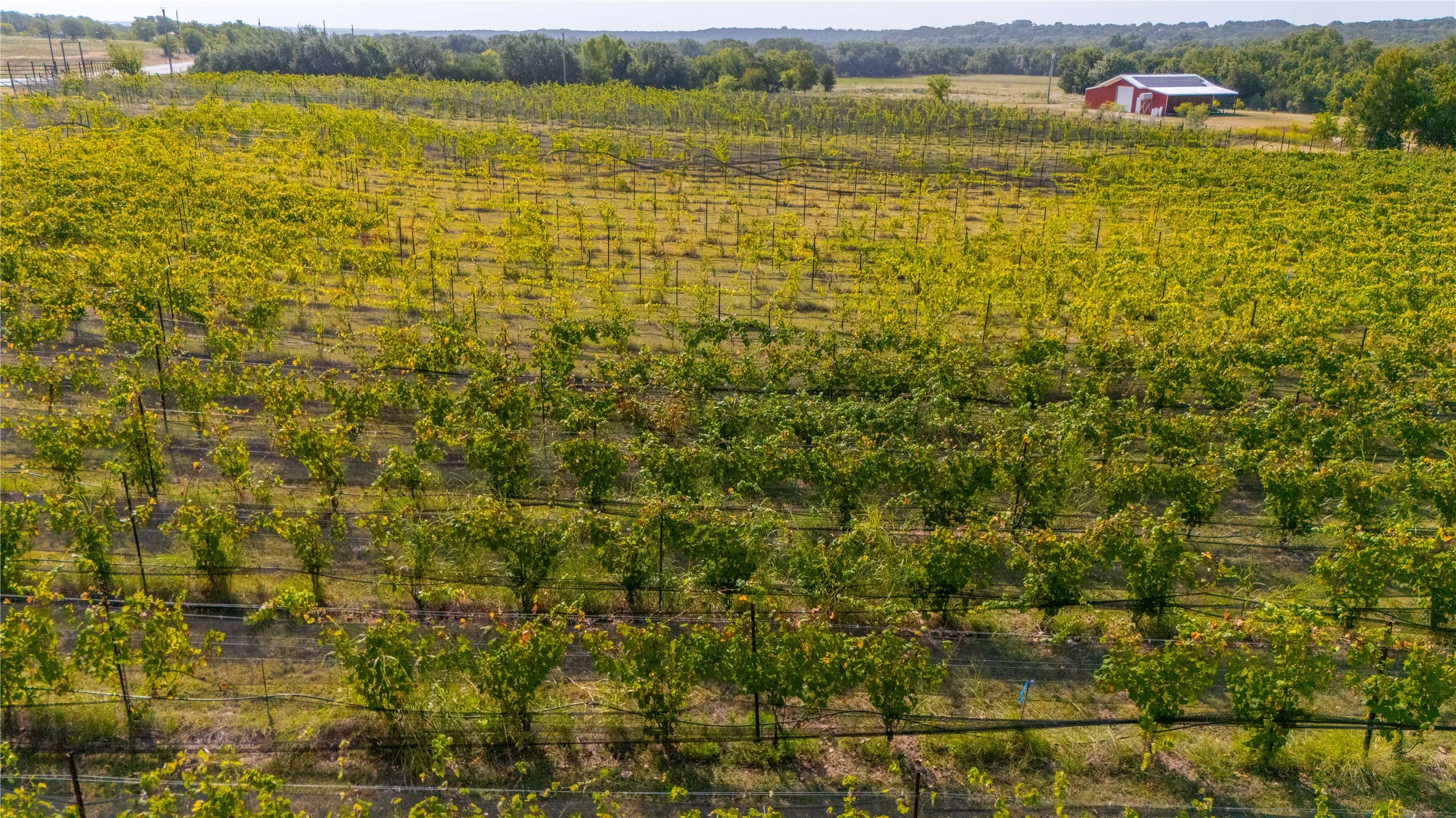 Farm For Sale in Erath County , 25270 East State Highway 6, Hico, Texas 76457, 4 Bedroom, 5 Bathroom, 2 Garage spaces, 2,763 Sqft, built in 2020, mls#21368172, Real Estate Agent in Hico, Homes For Sale in Erath county, Homes For Sale in Hico, Realtor in Hico Texas, Real Estate Brokerage Independent Realty Texas, Luminita Cordes Realtor