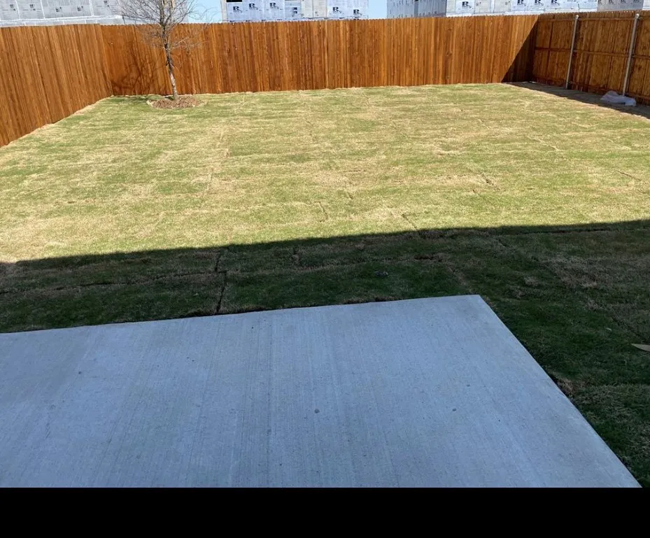 Expansive backyard with a concrete patio, wood privacy fencing, and a mature tree