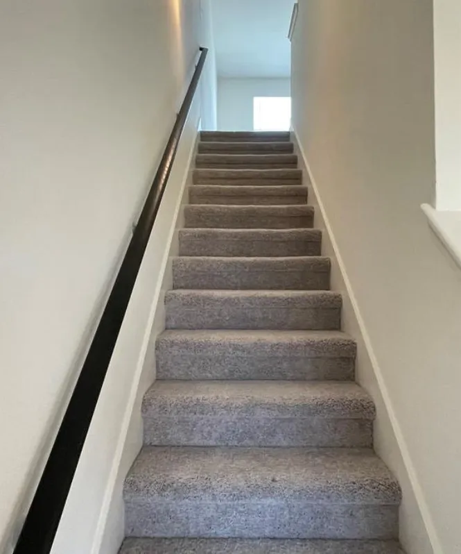 Carpeted staircase with a dark-finished handrail and light-toned walls