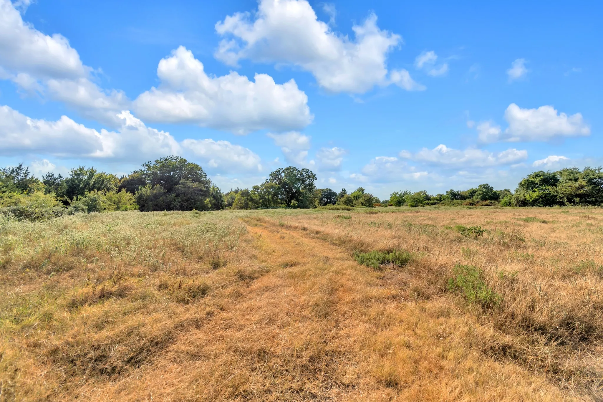 Unimproved Land For Sale in Fannin County , 2190 County Road 1215, Savoy, Texas 75479, 0, 0, Garage spaces, 0 Sqft, built in 0, mls#21371592, Real Estate Agent in Savoy, Homes For Sale in Fannin county, Homes For Sale in Savoy, Realtor in Savoy Texas, Real Estate Brokerage Independent Realty Texas, Luminita Cordes Realtor