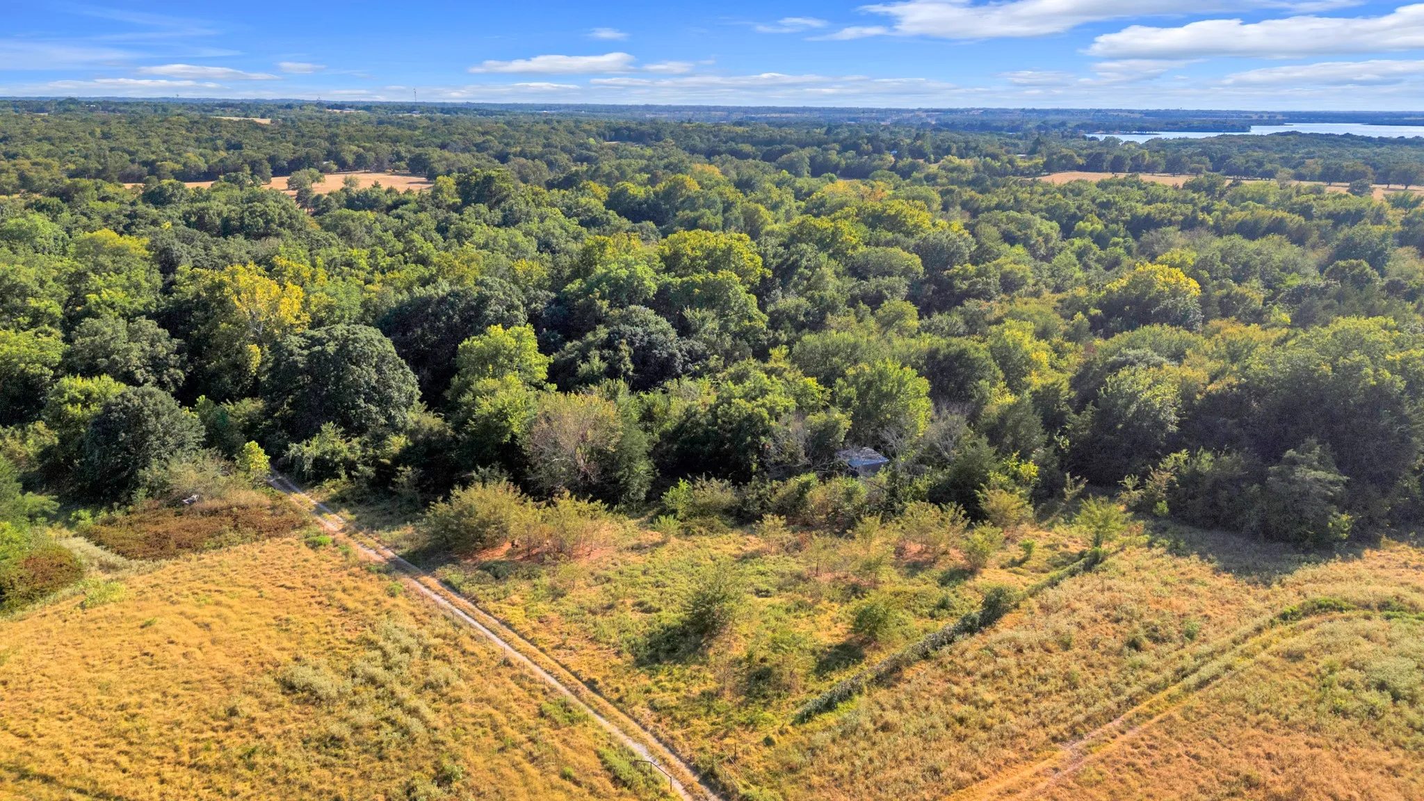 Unimproved Land For Sale in Fannin County , 2190 County Road 1215, Savoy, Texas 75479, 0, 0, Garage spaces, 0 Sqft, built in 0, mls#21371592, Real Estate Agent in Savoy, Homes For Sale in Fannin county, Homes For Sale in Savoy, Realtor in Savoy Texas, Real Estate Brokerage Independent Realty Texas, Luminita Cordes Realtor
