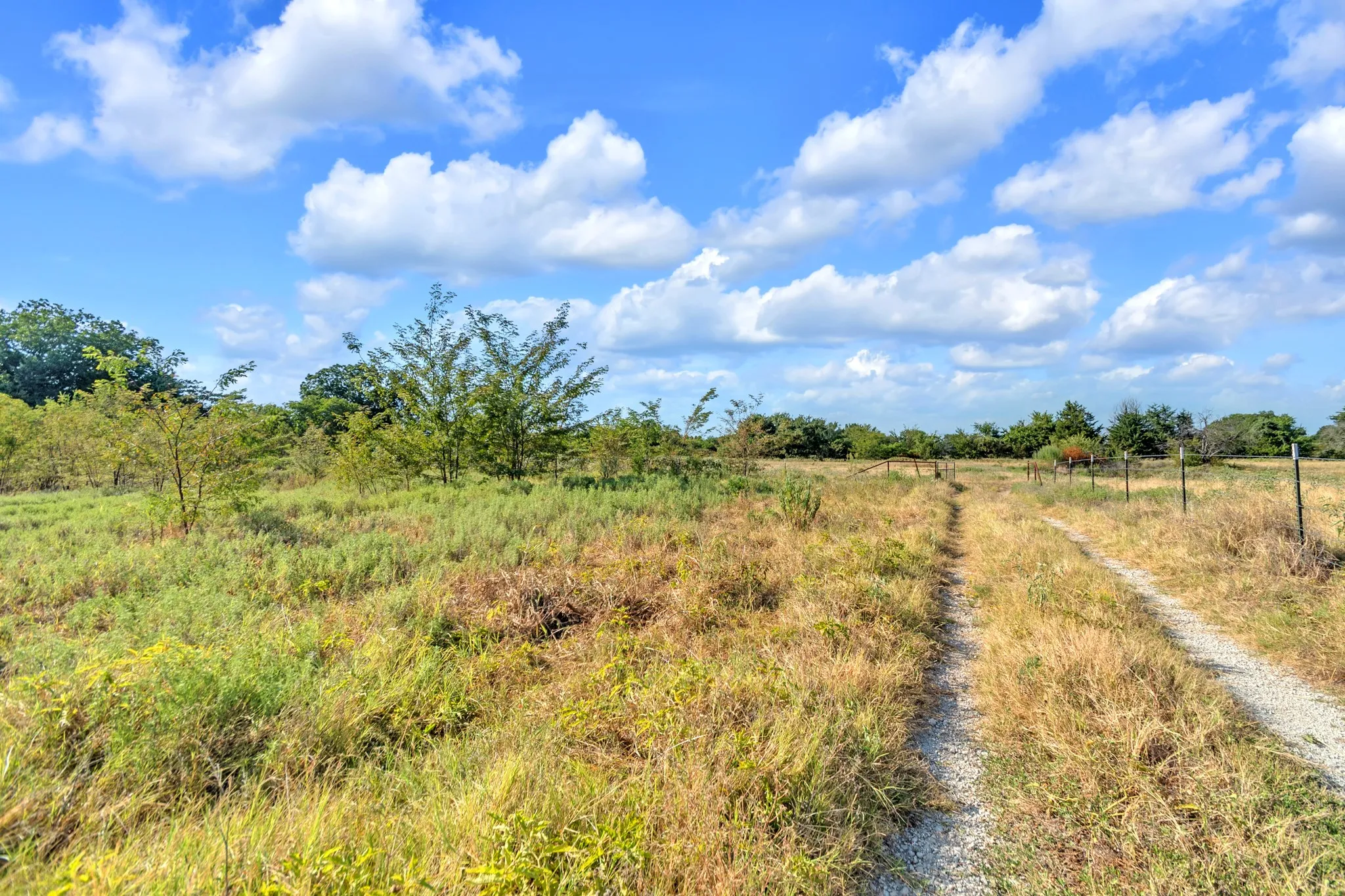 Unimproved Land For Sale in Fannin County , 2190 County Road 1215, Savoy, Texas 75479, 0, 0, Garage spaces, 0 Sqft, built in 0, mls#21371592, Real Estate Agent in Savoy, Homes For Sale in Fannin county, Homes For Sale in Savoy, Realtor in Savoy Texas, Real Estate Brokerage Independent Realty Texas, Luminita Cordes Realtor