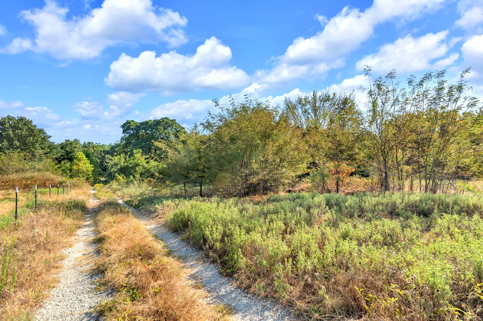 Unimproved Land For Sale in Fannin County , 2190 County Road 1215, Savoy, Texas 75479, 0, 0, Garage spaces, 0 Sqft, built in 0, mls#21371592, Real Estate Agent in Savoy, Homes For Sale in Fannin county, Homes For Sale in Savoy, Realtor in Savoy Texas, Real Estate Brokerage Independent Realty Texas, Luminita Cordes Realtor