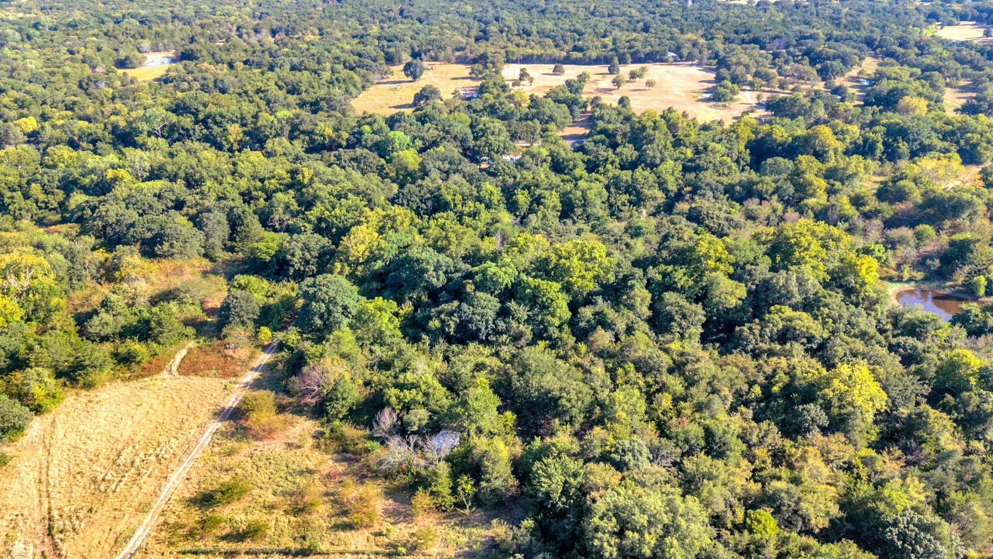 Unimproved Land For Sale in Fannin County , 2190 County Road 1215, Savoy, Texas 75479, 0, 0, Garage spaces, 0 Sqft, built in 0, mls#21371592, Real Estate Agent in Savoy, Homes For Sale in Fannin county, Homes For Sale in Savoy, Realtor in Savoy Texas, Real Estate Brokerage Independent Realty Texas, Luminita Cordes Realtor