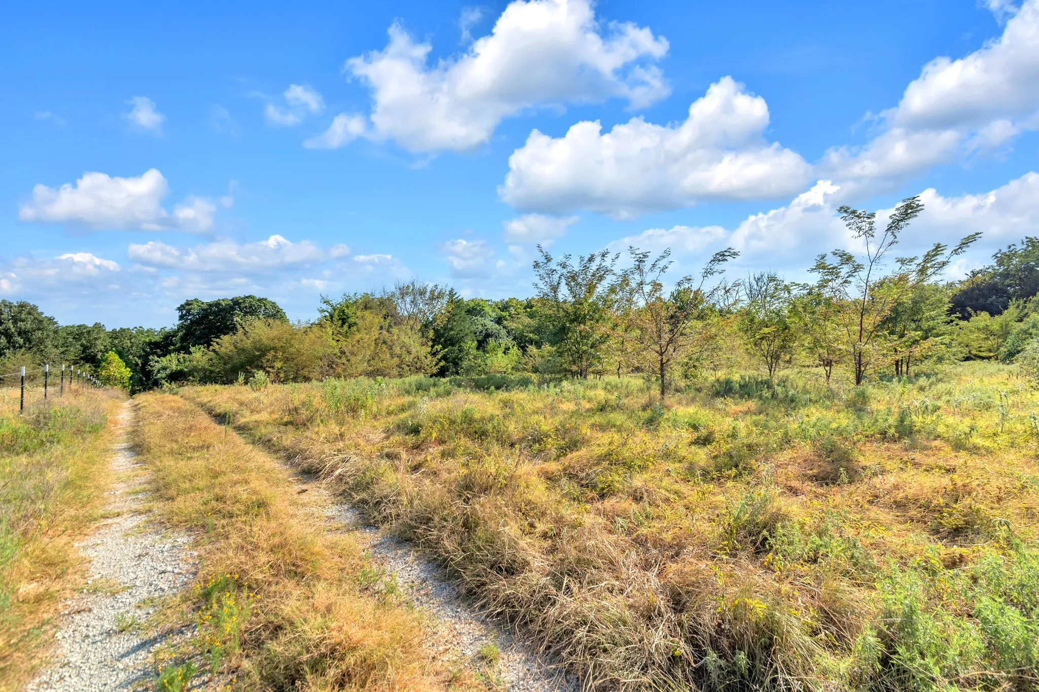 Unimproved Land For Sale in Fannin County , 2190 County Road 1215, Savoy, Texas 75479, 0, 0, Garage spaces, 0 Sqft, built in 0, mls#21371592, Real Estate Agent in Savoy, Homes For Sale in Fannin county, Homes For Sale in Savoy, Realtor in Savoy Texas, Real Estate Brokerage Independent Realty Texas, Luminita Cordes Realtor