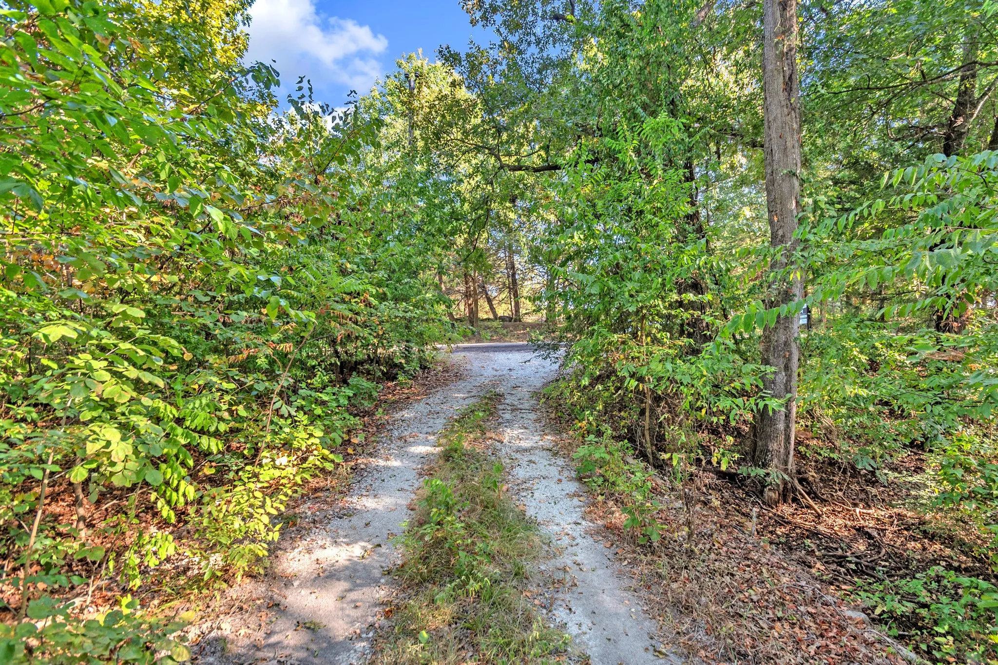 Unimproved Land For Sale in Fannin County , 2190 County Road 1215, Savoy, Texas 75479, 0, 0, Garage spaces, 0 Sqft, built in 0, mls#21371592, Real Estate Agent in Savoy, Homes For Sale in Fannin county, Homes For Sale in Savoy, Realtor in Savoy Texas, Real Estate Brokerage Independent Realty Texas, Luminita Cordes Realtor