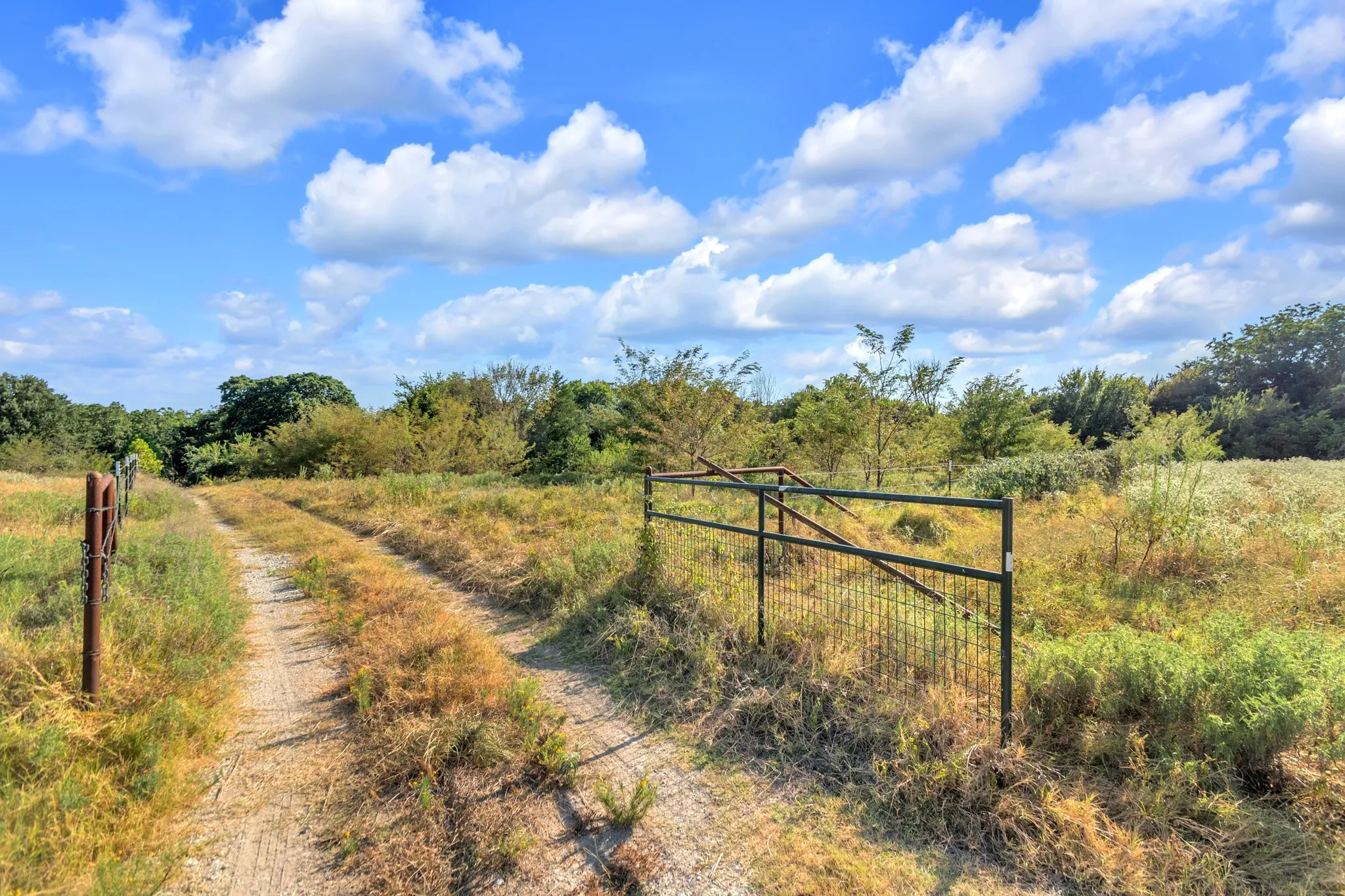 Unimproved Land For Sale in Fannin County , 2190 County Road 1215, Savoy, Texas 75479, 0, 0, Garage spaces, 0 Sqft, built in 0, mls#21371592, Real Estate Agent in Savoy, Homes For Sale in Fannin county, Homes For Sale in Savoy, Realtor in Savoy Texas, Real Estate Brokerage Independent Realty Texas, Luminita Cordes Realtor
