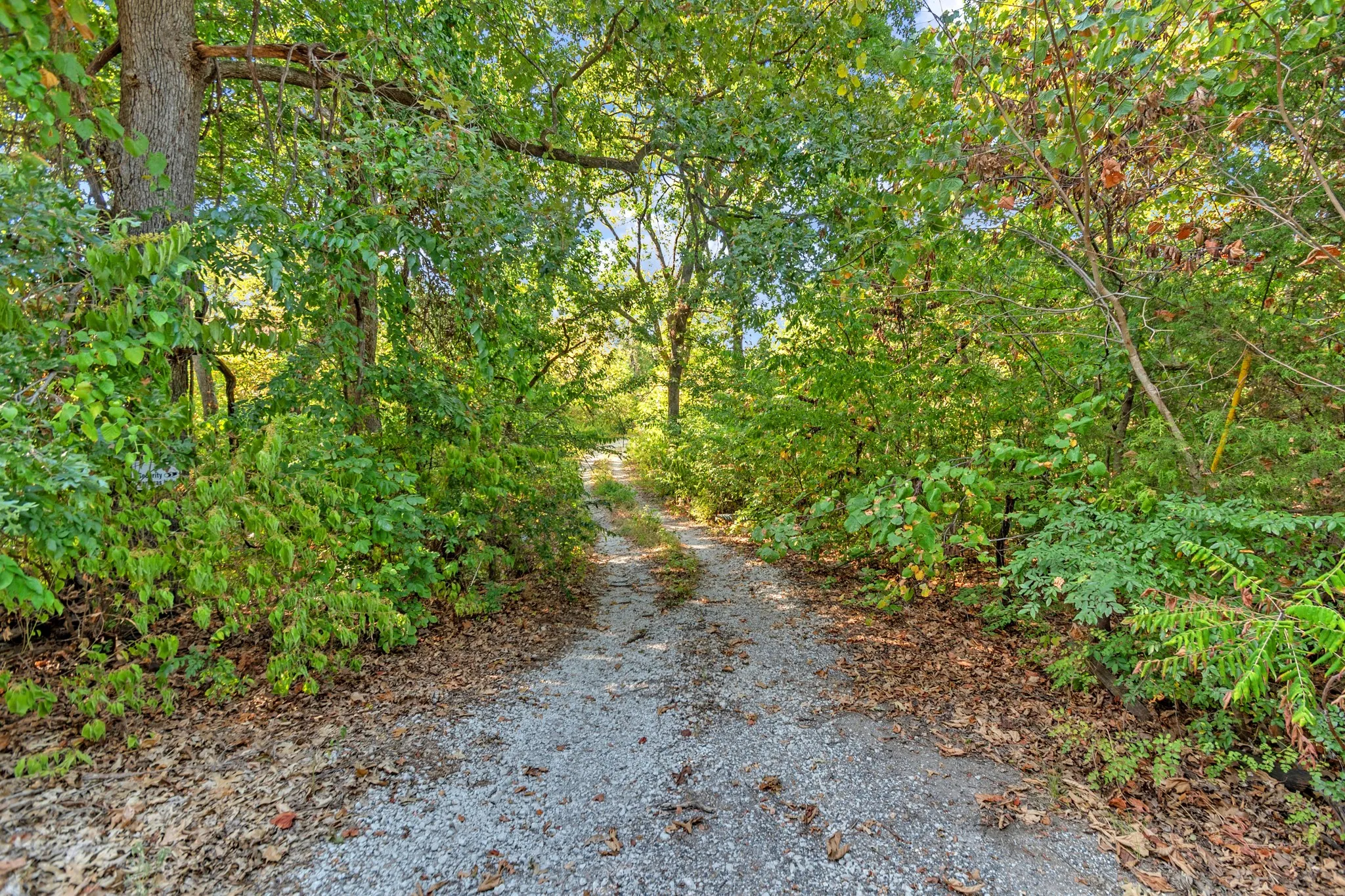 Unimproved Land For Sale in Fannin County , 2190 County Road 1215, Savoy, Texas 75479, 0, 0, Garage spaces, 0 Sqft, built in 0, mls#21371592, Real Estate Agent in Savoy, Homes For Sale in Fannin county, Homes For Sale in Savoy, Realtor in Savoy Texas, Real Estate Brokerage Independent Realty Texas, Luminita Cordes Realtor