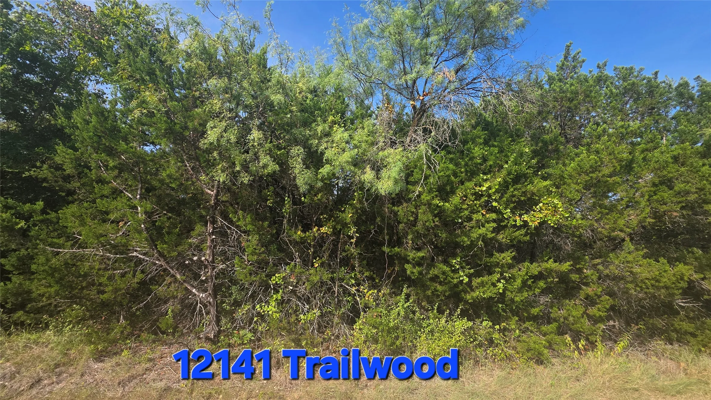 Improved Land For Sale in Hill County , 12141 Trailwood Drive, Whitney, Texas 76692, 0, 0, Garage spaces, 0 Sqft, built in 0, mls#21371644, Real Estate Agent in Whitney, Homes For Sale in Hill county, Homes For Sale in Whitney, Realtor in Whitney Texas, Real Estate Brokerage Independent Realty Texas, Luminita Cordes Realtor