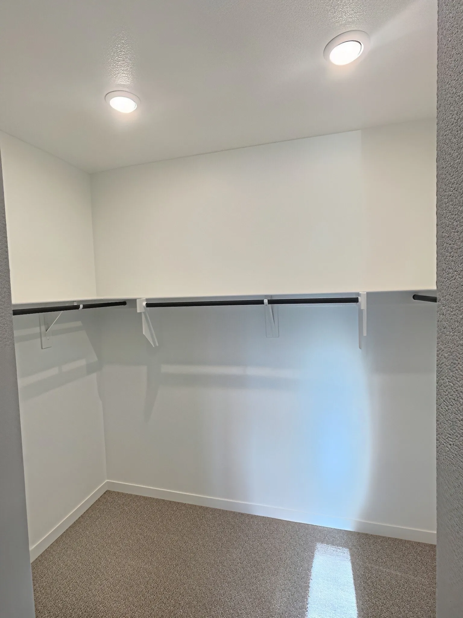 Recessed lighting, white walls, built-in shelving, hanging rods, and carpet flooring