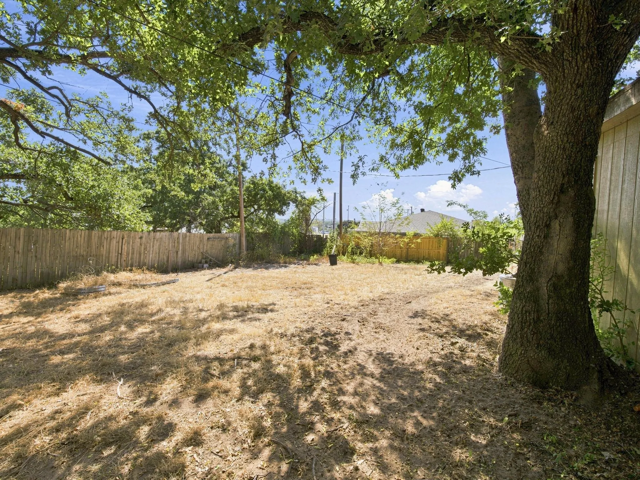 Spacious yard with mature trees, fenced perimeter, and natural ground cover