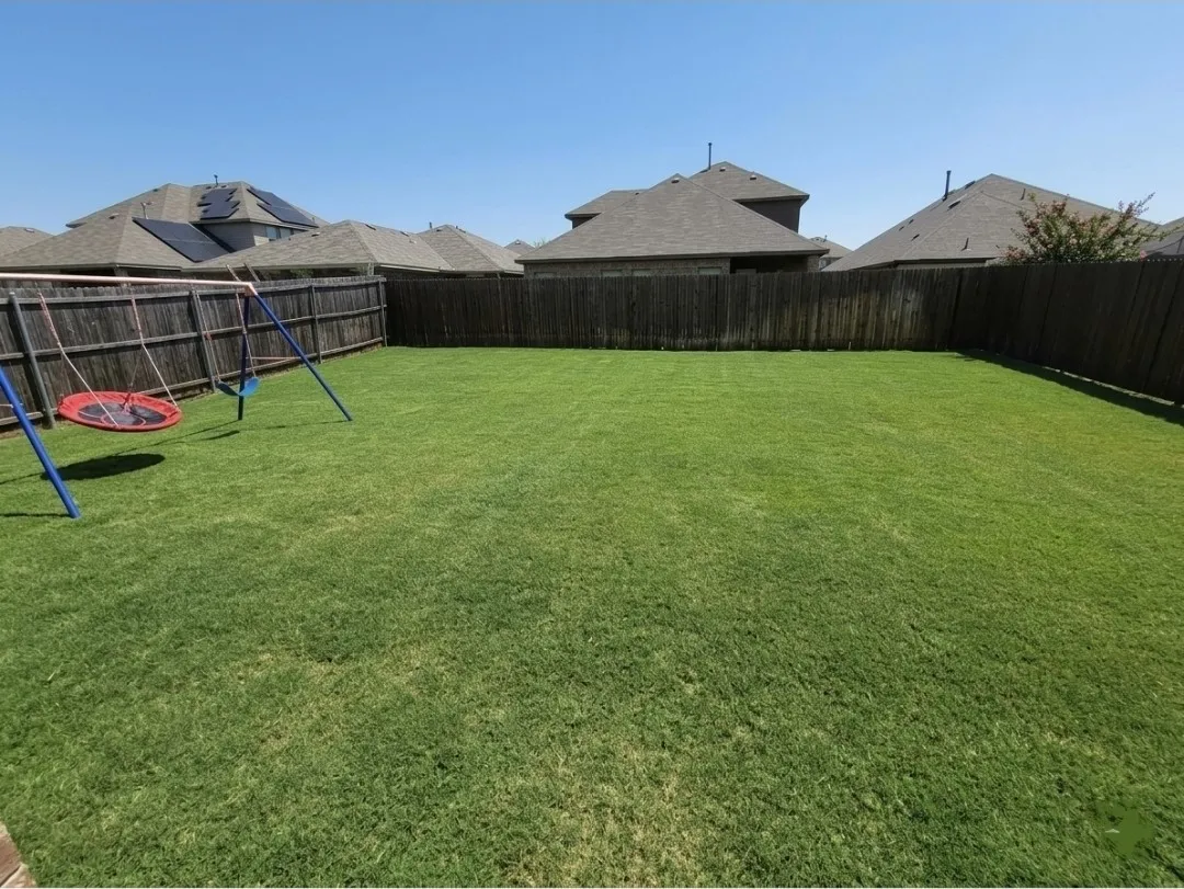 Large Backyard swing set not included in lease