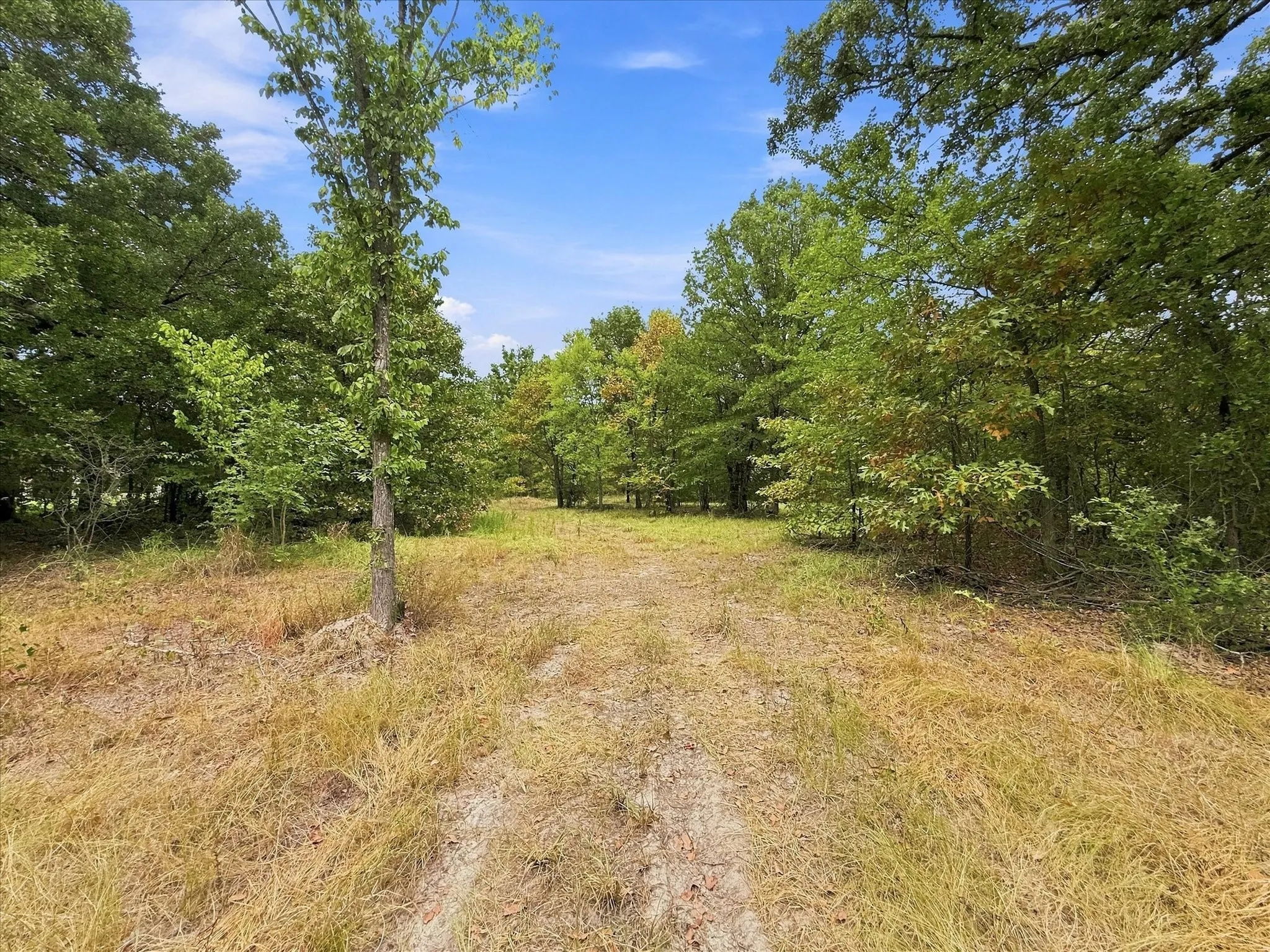 Improved Land For Sale in Wood County , 9696 FM 515, Yantis, Texas 75410, 0, 0, Garage spaces, 0 Sqft, built in 0, mls#21371582, Real Estate Agent in Yantis, Homes For Sale in Wood county, Homes For Sale in Yantis, Realtor in Yantis Texas, Real Estate Brokerage Independent Realty Texas, Luminita Cordes Realtor