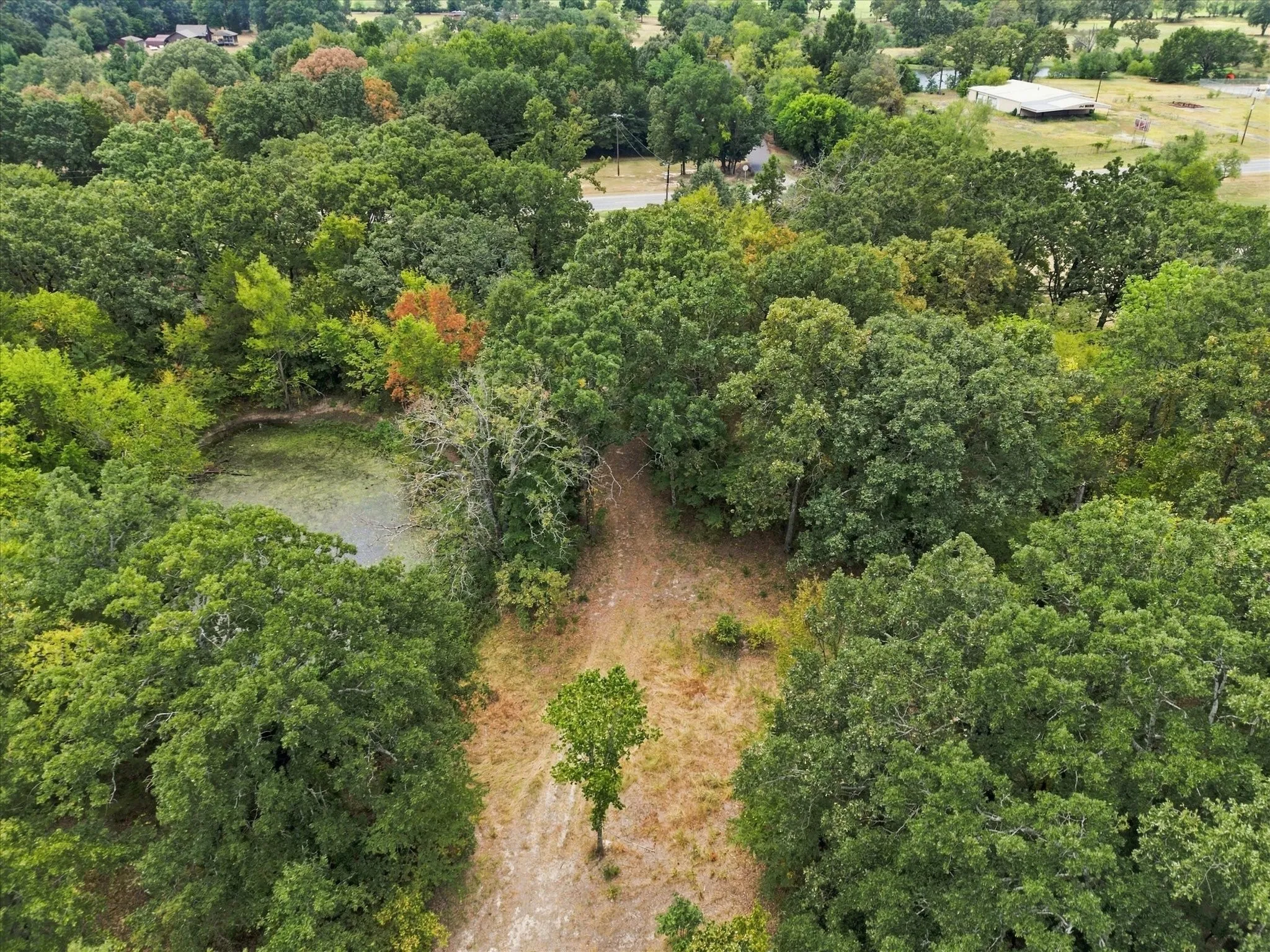 Expansive natural landscape featuring dense tree cover and a tranquil pond