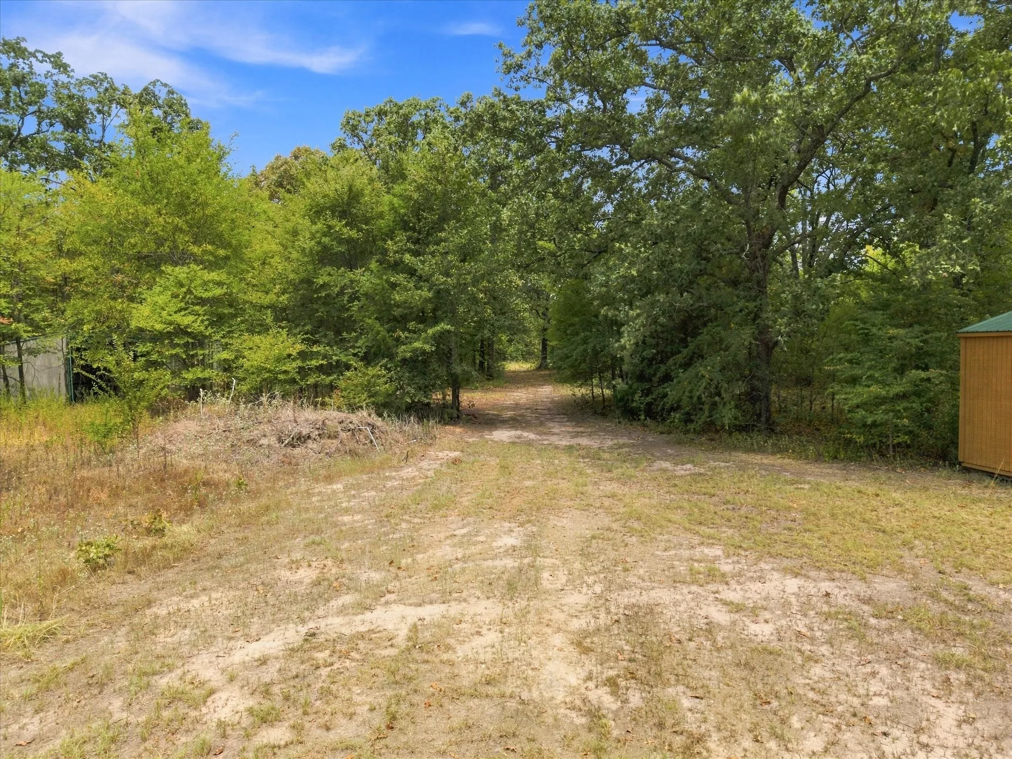 Expansive natural landscape with mature trees and a clear blue sky