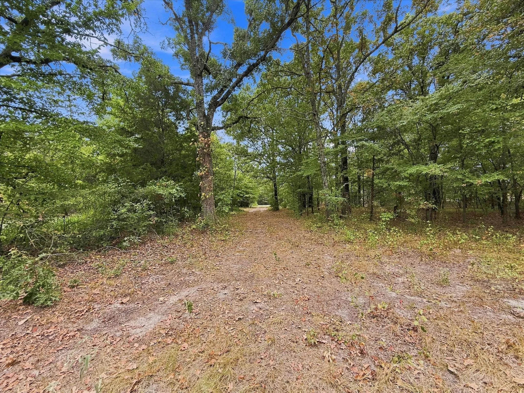 Improved Land For Sale in Wood County , 9696 FM 515, Yantis, Texas 75410, 0, 0, Garage spaces, 0 Sqft, built in 0, mls#21371582, Real Estate Agent in Yantis, Homes For Sale in Wood county, Homes For Sale in Yantis, Realtor in Yantis Texas, Real Estate Brokerage Independent Realty Texas, Luminita Cordes Realtor