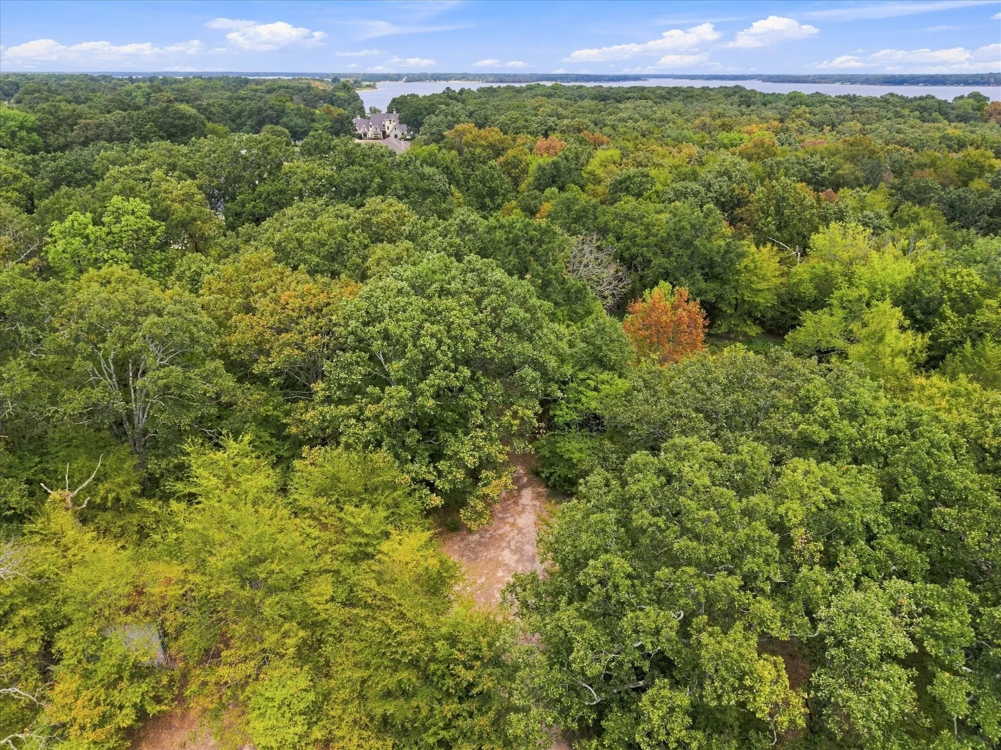 Wooded landscape close to Lake Fork