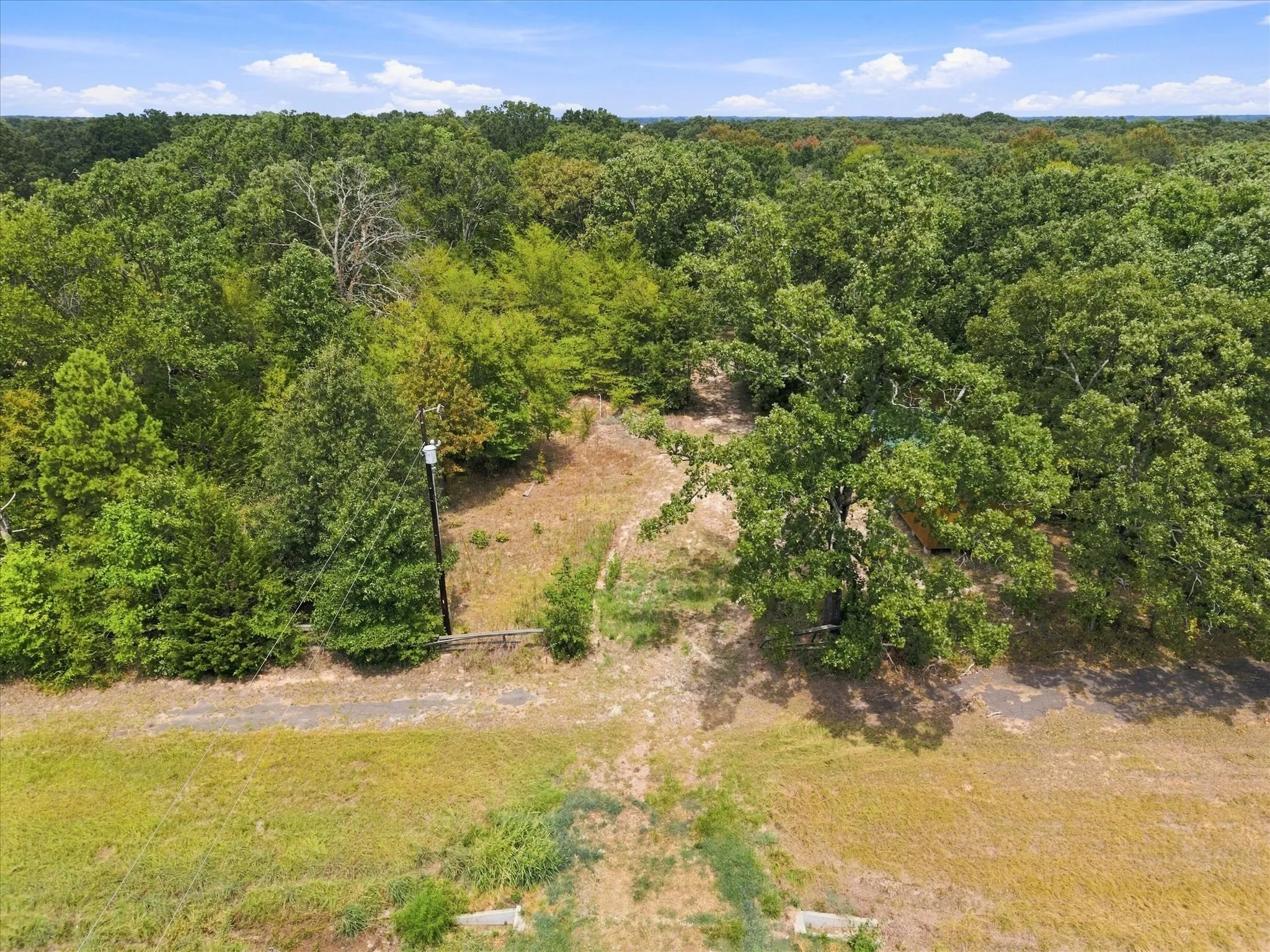 Expansive land parcel featuring a dense tree line, varied foliage, and a clear sky