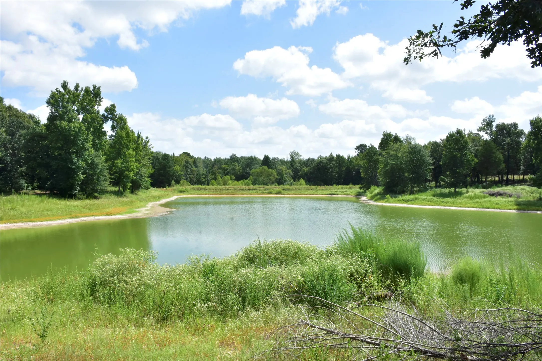 Farm For Sale in Anderson County , 961 County Road 484, Palestine, Texas 75803, 3 Bedroom, 3 Bathroom, 1 Garage spaces, 1,934 Sqft, built in 2000, mls#21363713, Real Estate Agent in Palestine, Homes For Sale in Anderson county, Homes For Sale in Palestine, Realtor in Palestine Texas, Real Estate Brokerage Independent Realty Texas, Luminita Cordes Realtor