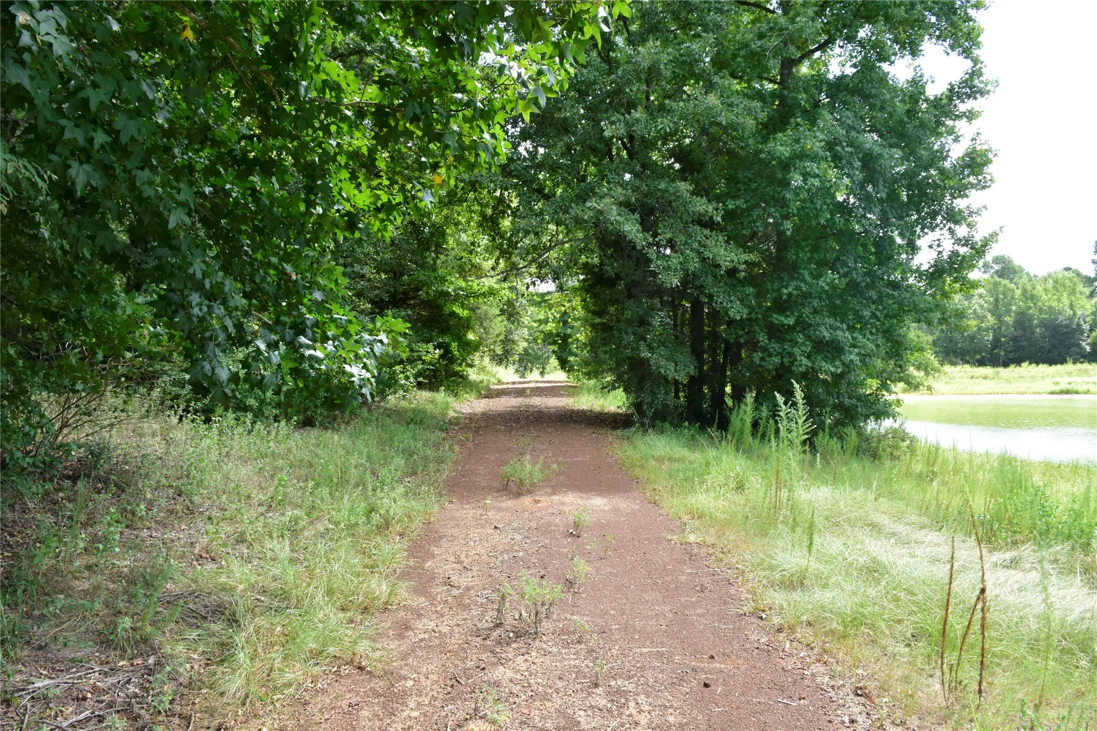 Farm For Sale in Anderson County , 961 County Road 484, Palestine, Texas 75803, 3 Bedroom, 3 Bathroom, 1 Garage spaces, 1,934 Sqft, built in 2000, mls#21363713, Real Estate Agent in Palestine, Homes For Sale in Anderson county, Homes For Sale in Palestine, Realtor in Palestine Texas, Real Estate Brokerage Independent Realty Texas, Luminita Cordes Realtor