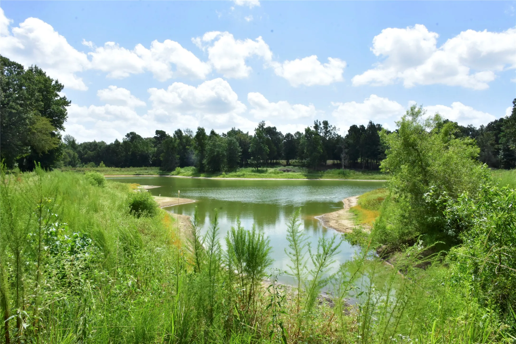 Farm For Sale in Anderson County , 961 County Road 484, Palestine, Texas 75803, 3 Bedroom, 3 Bathroom, 1 Garage spaces, 1,934 Sqft, built in 2000, mls#21363713, Real Estate Agent in Palestine, Homes For Sale in Anderson county, Homes For Sale in Palestine, Realtor in Palestine Texas, Real Estate Brokerage Independent Realty Texas, Luminita Cordes Realtor