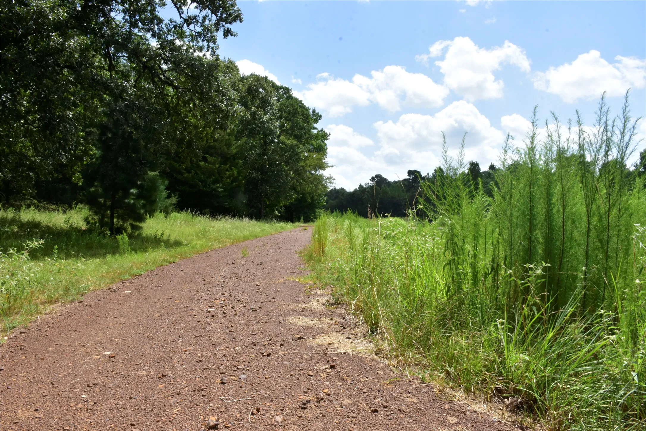 Farm For Sale in Anderson County , 961 County Road 484, Palestine, Texas 75803, 3 Bedroom, 3 Bathroom, 1 Garage spaces, 1,934 Sqft, built in 2000, mls#21363713, Real Estate Agent in Palestine, Homes For Sale in Anderson county, Homes For Sale in Palestine, Realtor in Palestine Texas, Real Estate Brokerage Independent Realty Texas, Luminita Cordes Realtor