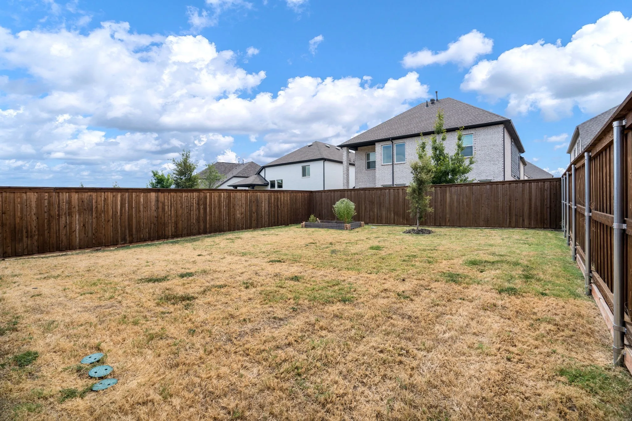 Expansive backyard with wood fencing and a young tree