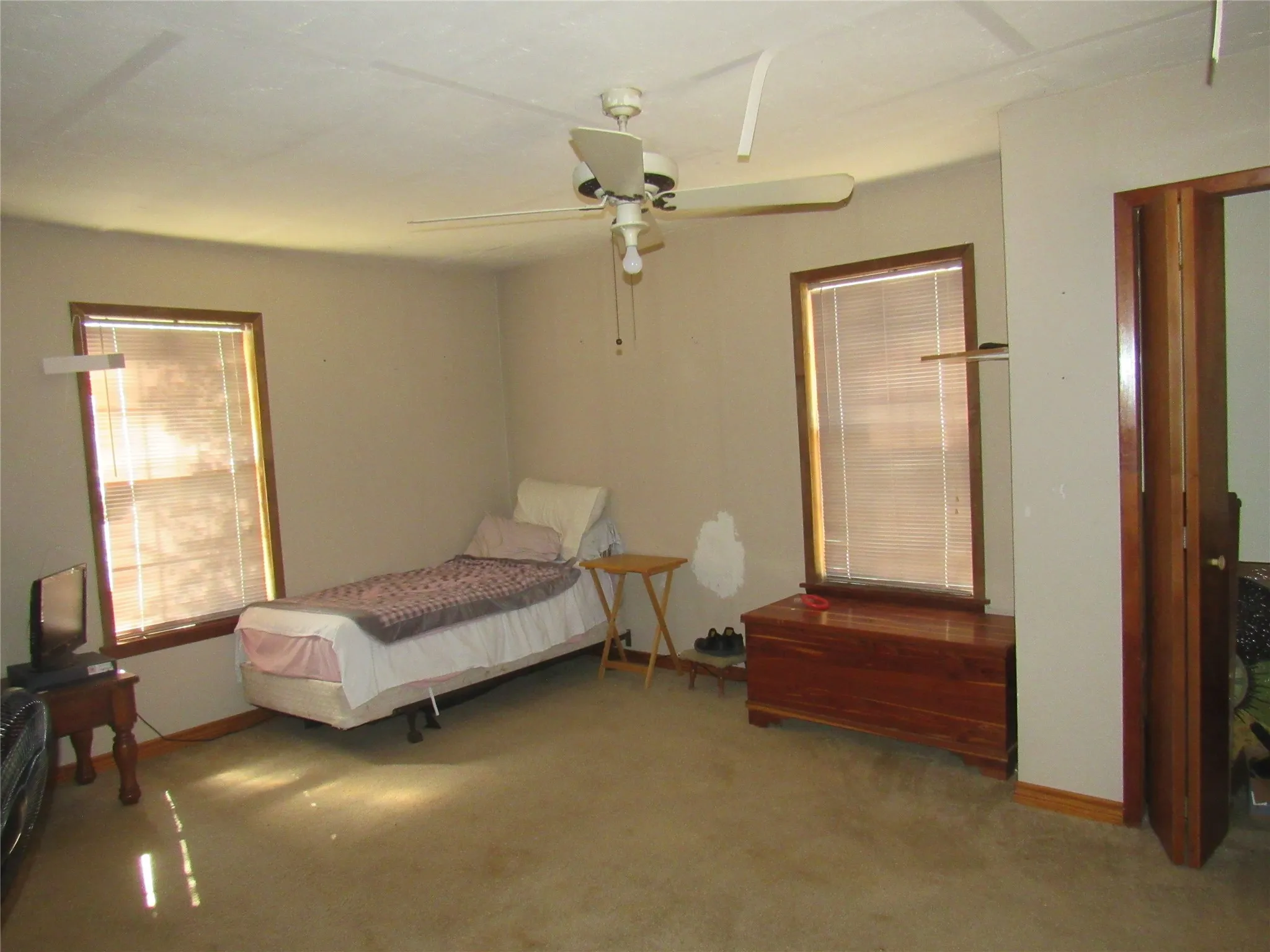 Carpeted room featuring two windows with blinds, a ceiling fan, and wood-trim doorways