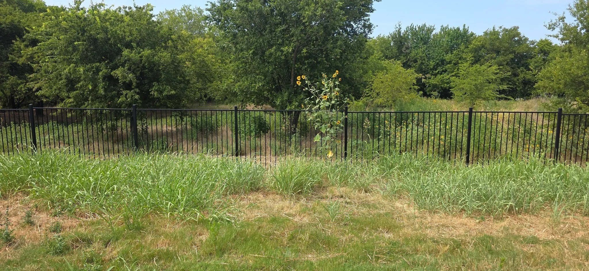 Single Family Residence For Sale in Denton County , 16629 White Fish Lane, Justin, Texas 76247, 4 Bedroom, 2 Bathroom, 2 Garage spaces, 1,878 Sqft, built in 2022, mls#21371647, Real Estate Agent in Justin, Homes For Sale in Denton county, Homes For Sale in Justin, Realtor in Justin Texas, Real Estate Brokerage Independent Realty Texas, Luminita Cordes Realtor