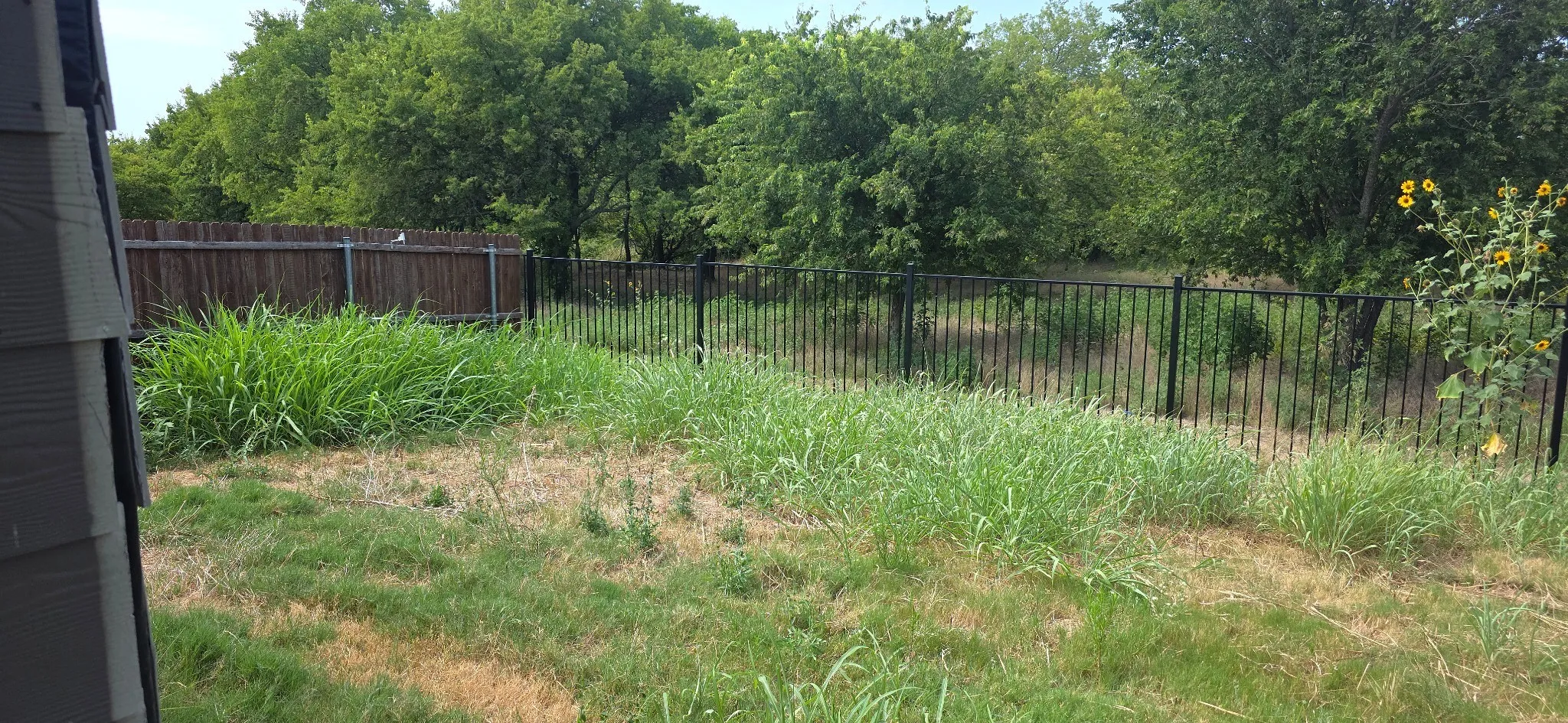 Single Family Residence For Sale in Denton County , 16629 White Fish Lane, Justin, Texas 76247, 4 Bedroom, 2 Bathroom, 2 Garage spaces, 1,878 Sqft, built in 2022, mls#21371647, Real Estate Agent in Justin, Homes For Sale in Denton county, Homes For Sale in Justin, Realtor in Justin Texas, Real Estate Brokerage Independent Realty Texas, Luminita Cordes Realtor