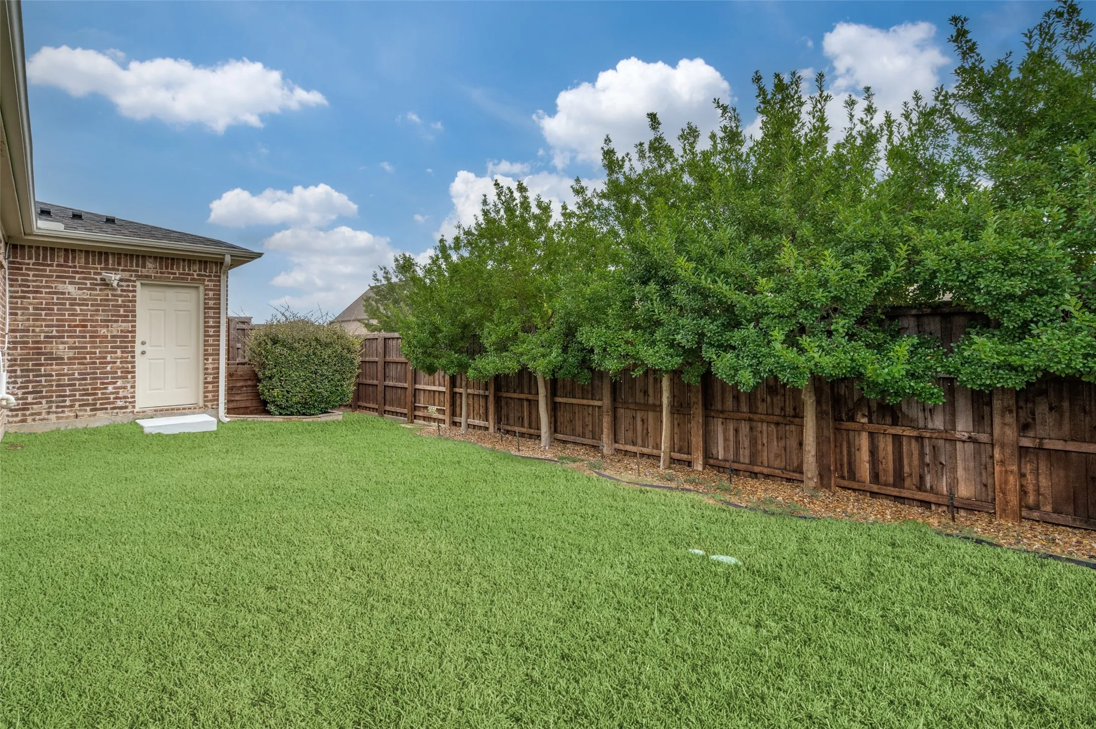 Large Backyard