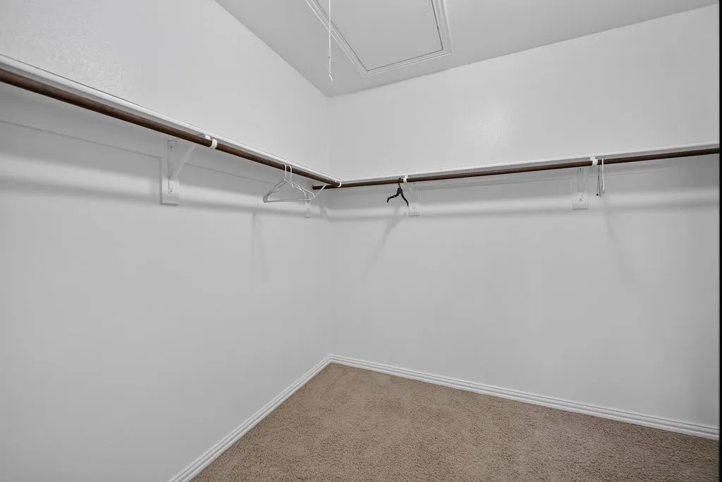 Carpeted closet with a built-in hanging rod system and white walls