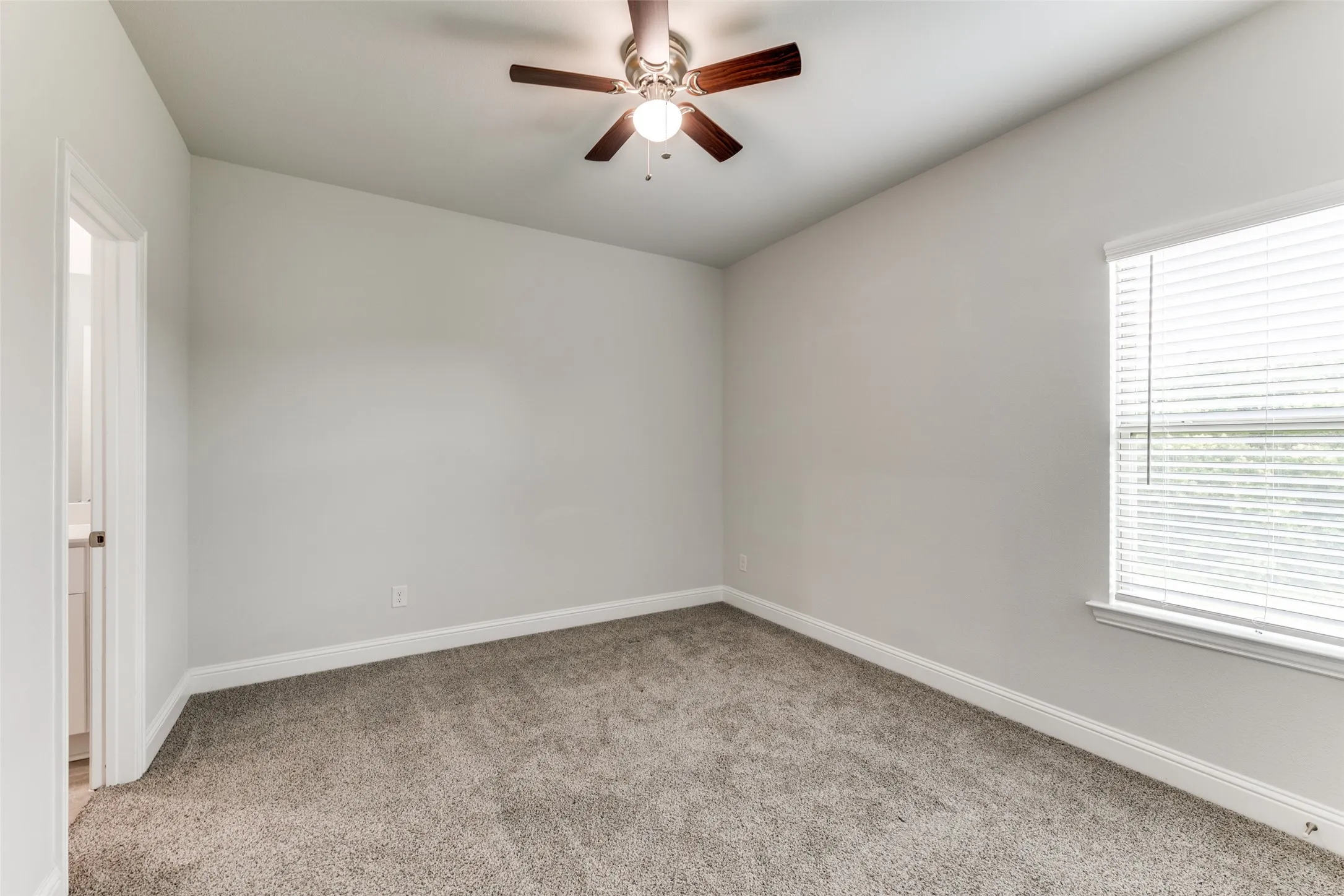 Unfurnished room featuring carpet, a ceiling fan, and healthy amount of natural light