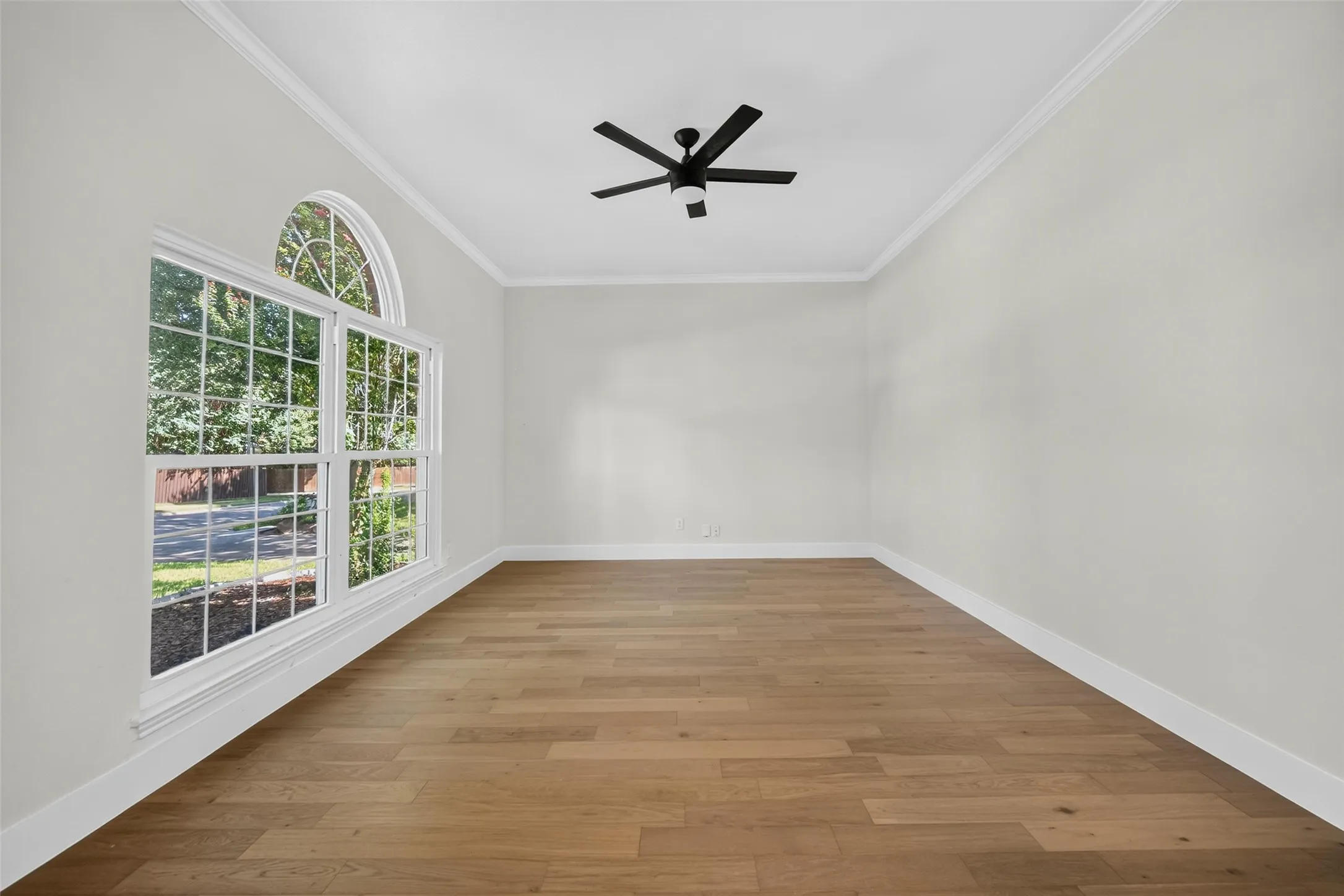 Wood-finish flooring, crown molding, and a modern ceiling fan