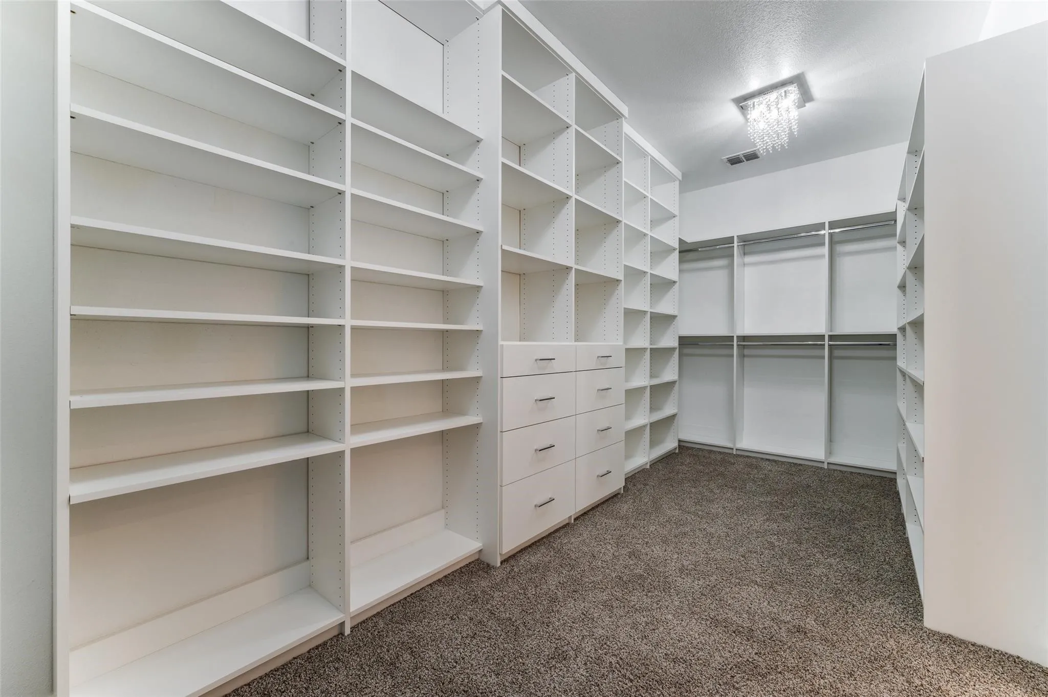 Custom built-in shelving, integrated drawer storage, overhead lighting fixture, hanging rods, and carpet flooring