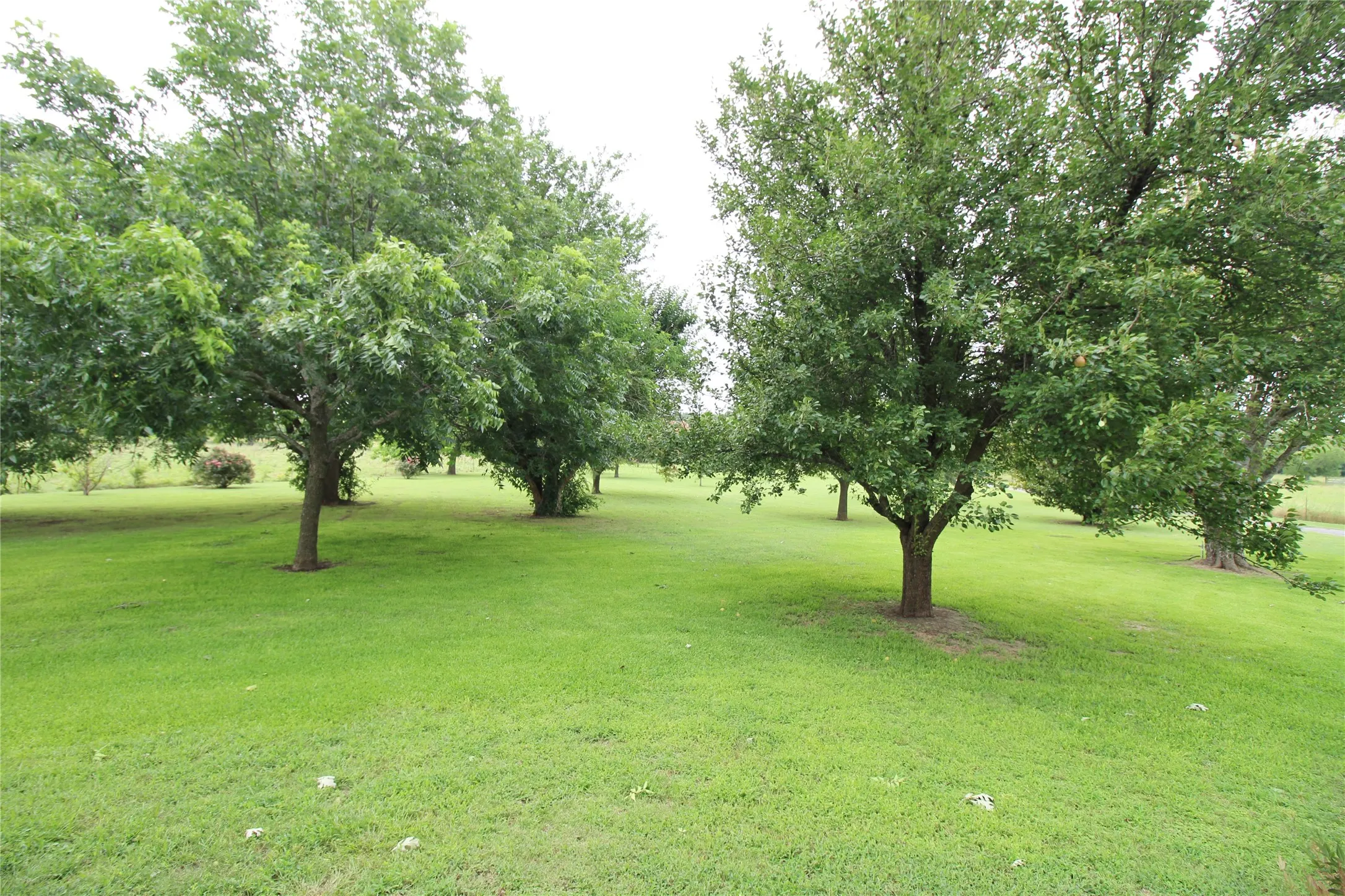 Single Family Residence For Rent in Ellis County , 8150 Bob White Road, Waxahachie, Texas 75167, 3 Bedroom, 4 Bathroom, Garage spaces, 3,662 Sqft, built in 1984, mls#21371825, Real Estate Agent in Waxahachie, Homes For Rent in Ellis county, Homes For Rent in Waxahachie, Realtor in Waxahachie Texas, Real Estate Brokerage Independent Realty Texas, Luminita Cordes Realtor