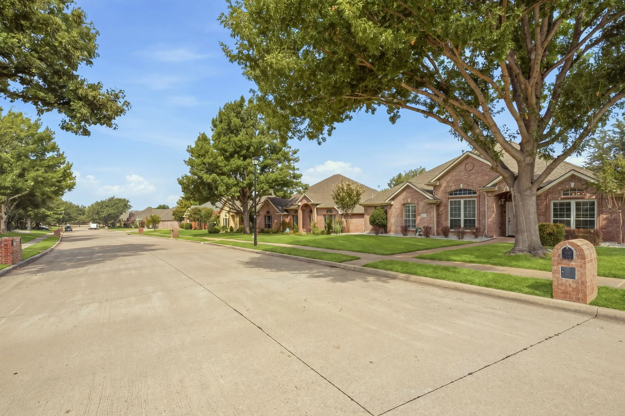 Wide street lined with mature trees