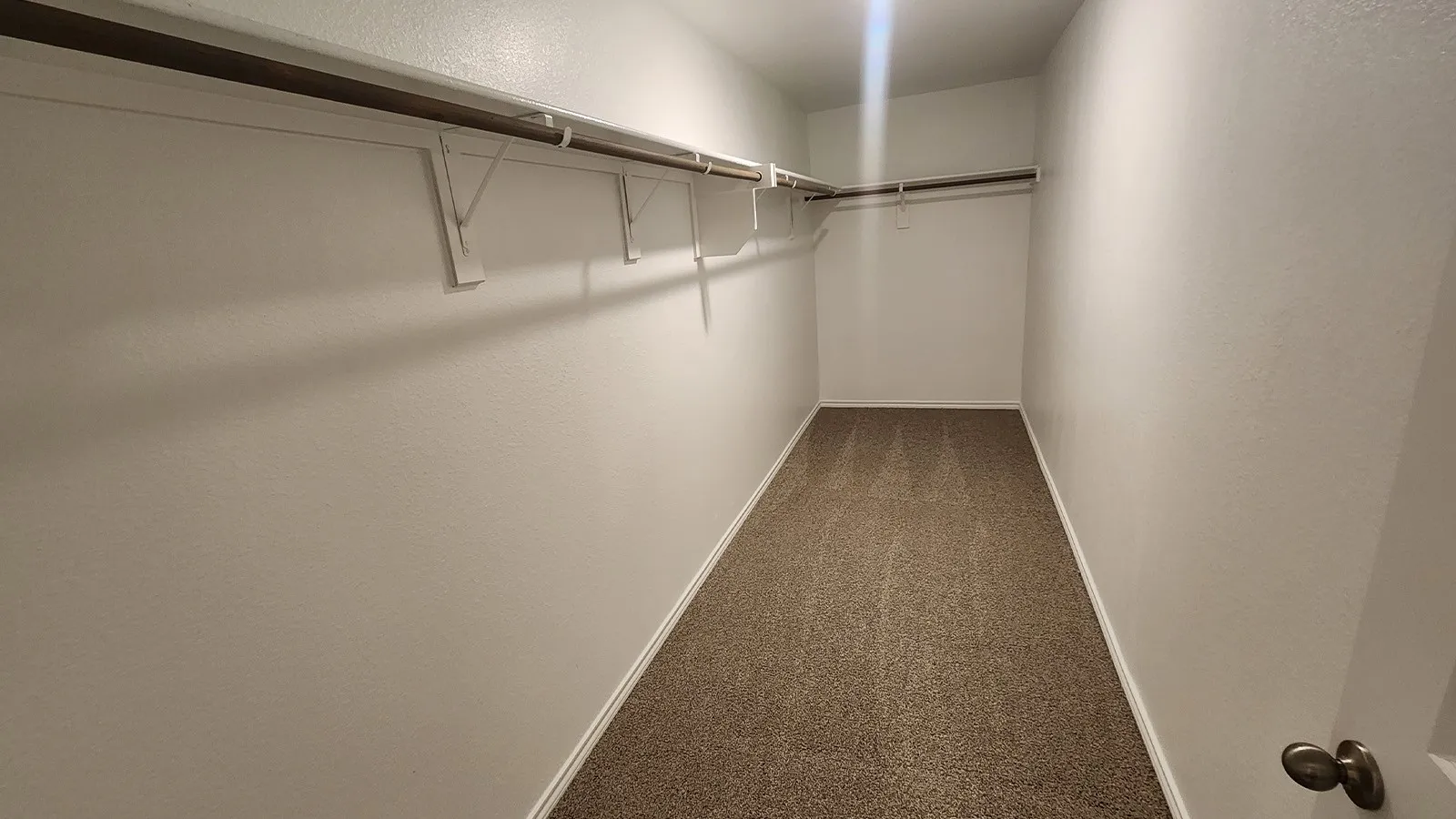 Spacious walk-in closet with neutral-toned carpeting and extensive built-in shelving