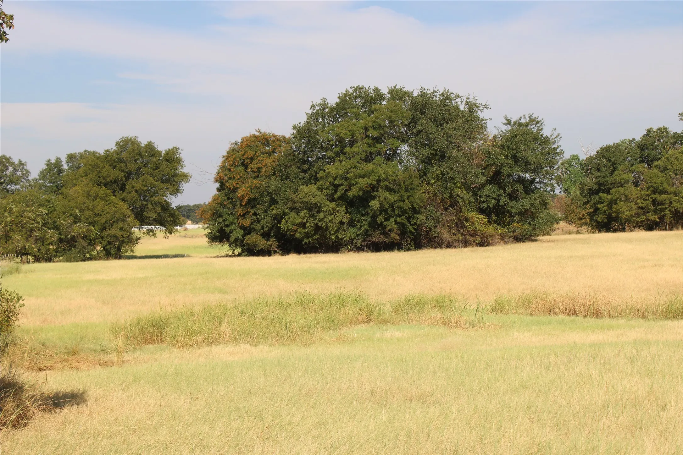 Improved Land For Sale in Wise County , 20ac CR County Road 3440 Road, Paradise, Texas 76073, 0, 0, Garage spaces, 0 Sqft, built in 2009, mls#21371837, Real Estate Agent in Paradise, Homes For Sale in Wise county, Homes For Sale in Paradise, Realtor in Paradise Texas, Real Estate Brokerage Independent Realty Texas, Luminita Cordes Realtor