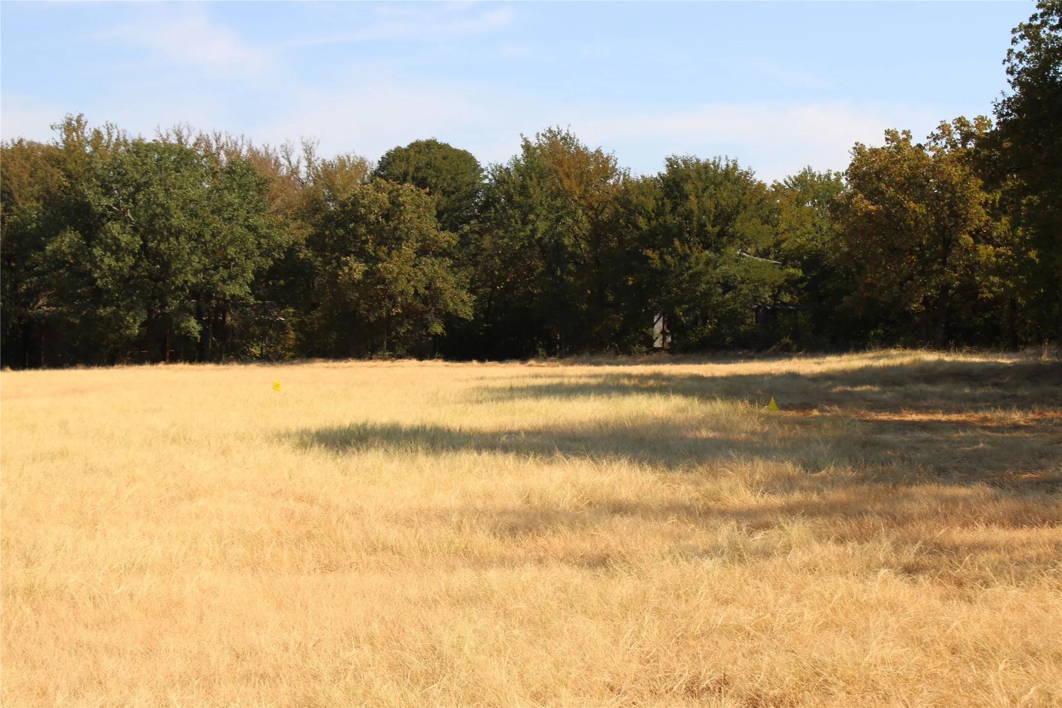 Improved Land For Sale in Wise County , 20ac CR County Road 3440 Road, Paradise, Texas 76073, 0, 0, Garage spaces, 0 Sqft, built in 2009, mls#21371837, Real Estate Agent in Paradise, Homes For Sale in Wise county, Homes For Sale in Paradise, Realtor in Paradise Texas, Real Estate Brokerage Independent Realty Texas, Luminita Cordes Realtor