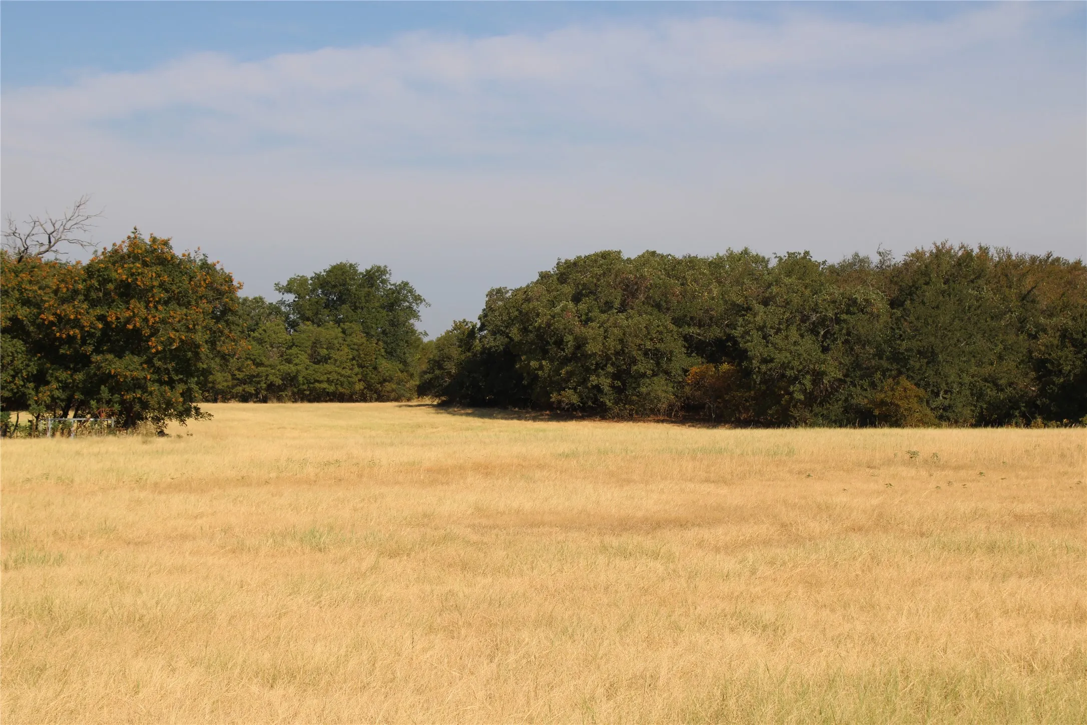 Improved Land For Sale in Wise County , 20ac CR County Road 3440 Road, Paradise, Texas 76073, 0, 0, Garage spaces, 0 Sqft, built in 2009, mls#21371837, Real Estate Agent in Paradise, Homes For Sale in Wise county, Homes For Sale in Paradise, Realtor in Paradise Texas, Real Estate Brokerage Independent Realty Texas, Luminita Cordes Realtor