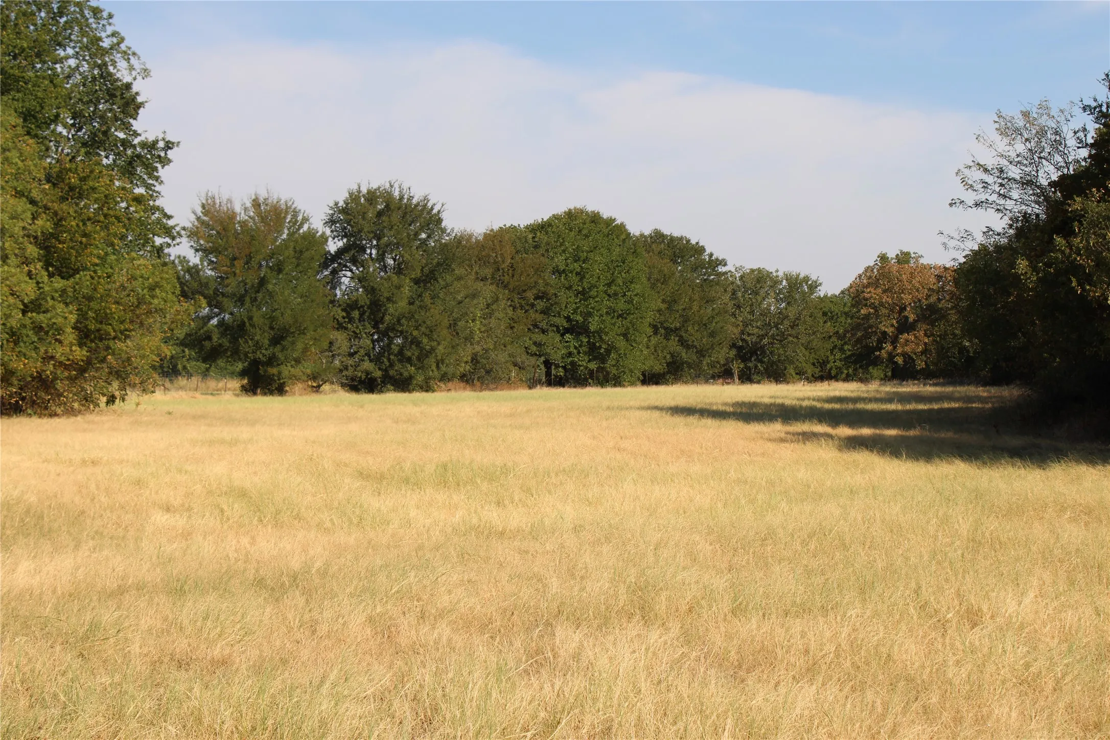 Improved Land For Sale in Wise County , 20ac CR County Road 3440 Road, Paradise, Texas 76073, 0, 0, Garage spaces, 0 Sqft, built in 2009, mls#21371837, Real Estate Agent in Paradise, Homes For Sale in Wise county, Homes For Sale in Paradise, Realtor in Paradise Texas, Real Estate Brokerage Independent Realty Texas, Luminita Cordes Realtor