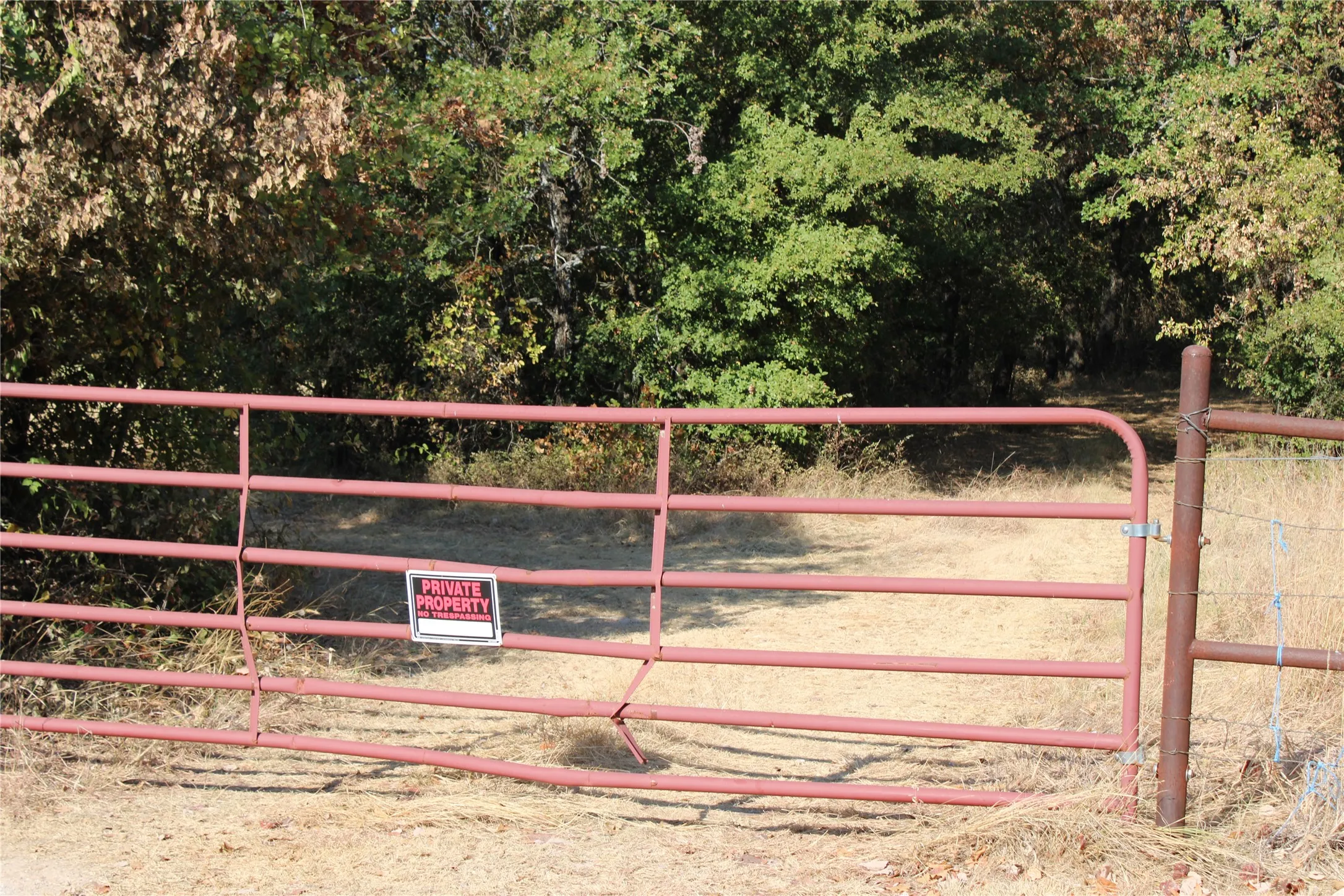 Improved Land For Sale in Wise County , 20ac CR County Road 3440 Road, Paradise, Texas 76073, 0, 0, Garage spaces, 0 Sqft, built in 2009, mls#21371837, Real Estate Agent in Paradise, Homes For Sale in Wise county, Homes For Sale in Paradise, Realtor in Paradise Texas, Real Estate Brokerage Independent Realty Texas, Luminita Cordes Realtor