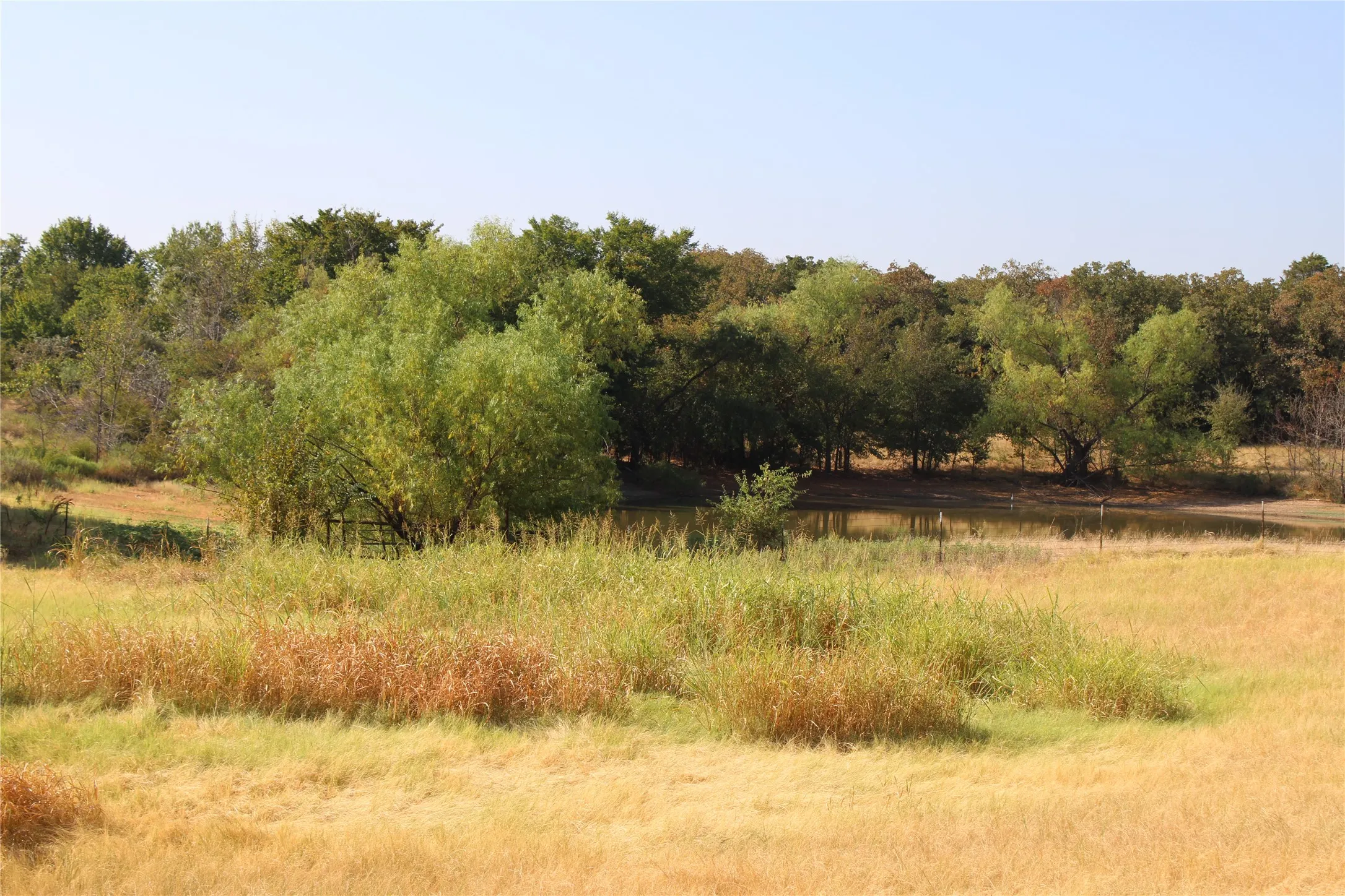 Improved Land For Sale in Wise County , 20ac CR County Road 3440 Road, Paradise, Texas 76073, 0, 0, Garage spaces, 0 Sqft, built in 2009, mls#21371837, Real Estate Agent in Paradise, Homes For Sale in Wise county, Homes For Sale in Paradise, Realtor in Paradise Texas, Real Estate Brokerage Independent Realty Texas, Luminita Cordes Realtor