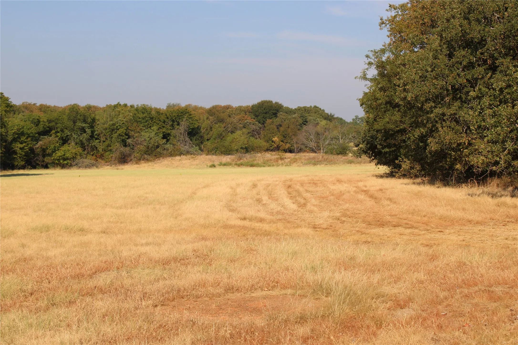 Improved Land For Sale in Wise County , 20ac CR County Road 3440 Road, Paradise, Texas 76073, 0, 0, Garage spaces, 0 Sqft, built in 2009, mls#21371837, Real Estate Agent in Paradise, Homes For Sale in Wise county, Homes For Sale in Paradise, Realtor in Paradise Texas, Real Estate Brokerage Independent Realty Texas, Luminita Cordes Realtor