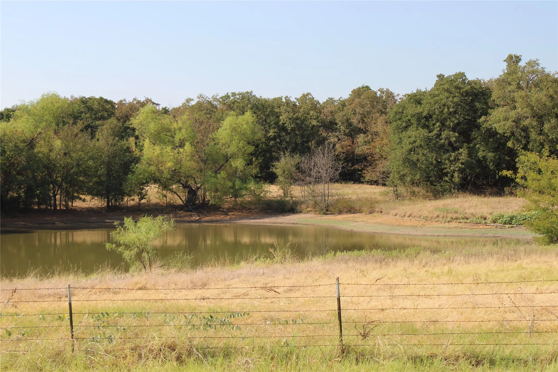 Improved Land For Sale in Wise County , 20ac CR County Road 3440 Road, Paradise, Texas 76073, 0, 0, Garage spaces, 0 Sqft, built in 2009, mls#21371837, Real Estate Agent in Paradise, Homes For Sale in Wise county, Homes For Sale in Paradise, Realtor in Paradise Texas, Real Estate Brokerage Independent Realty Texas, Luminita Cordes Realtor