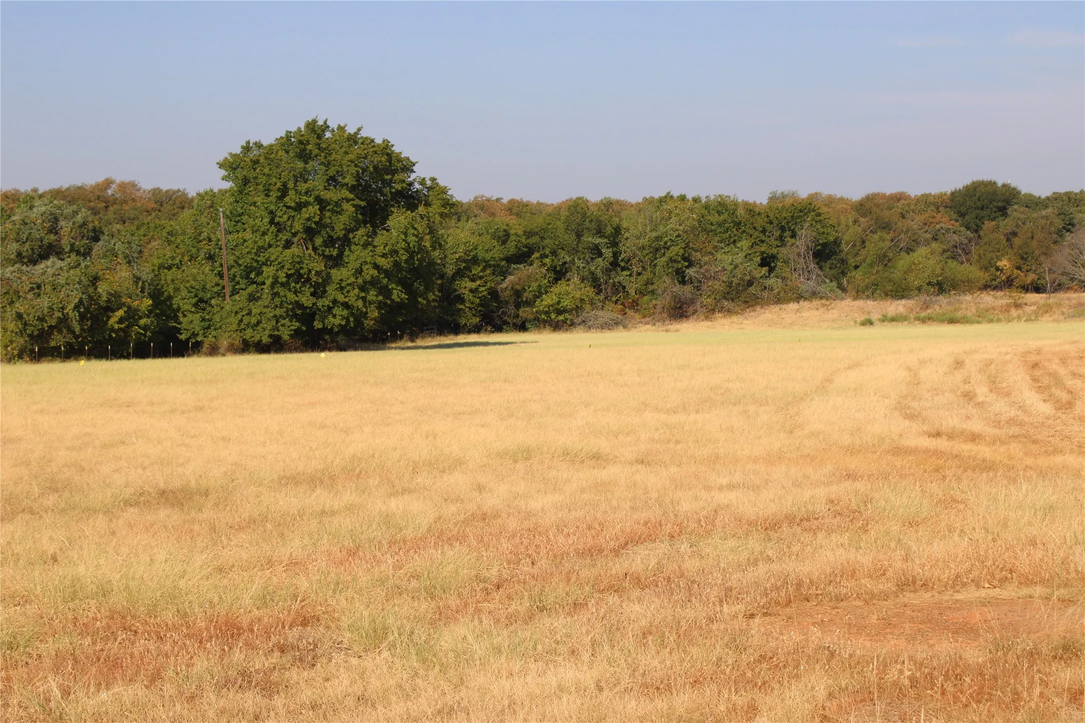Improved Land For Sale in Wise County , 20ac CR County Road 3440 Road, Paradise, Texas 76073, 0, 0, Garage spaces, 0 Sqft, built in 2009, mls#21371837, Real Estate Agent in Paradise, Homes For Sale in Wise county, Homes For Sale in Paradise, Realtor in Paradise Texas, Real Estate Brokerage Independent Realty Texas, Luminita Cordes Realtor