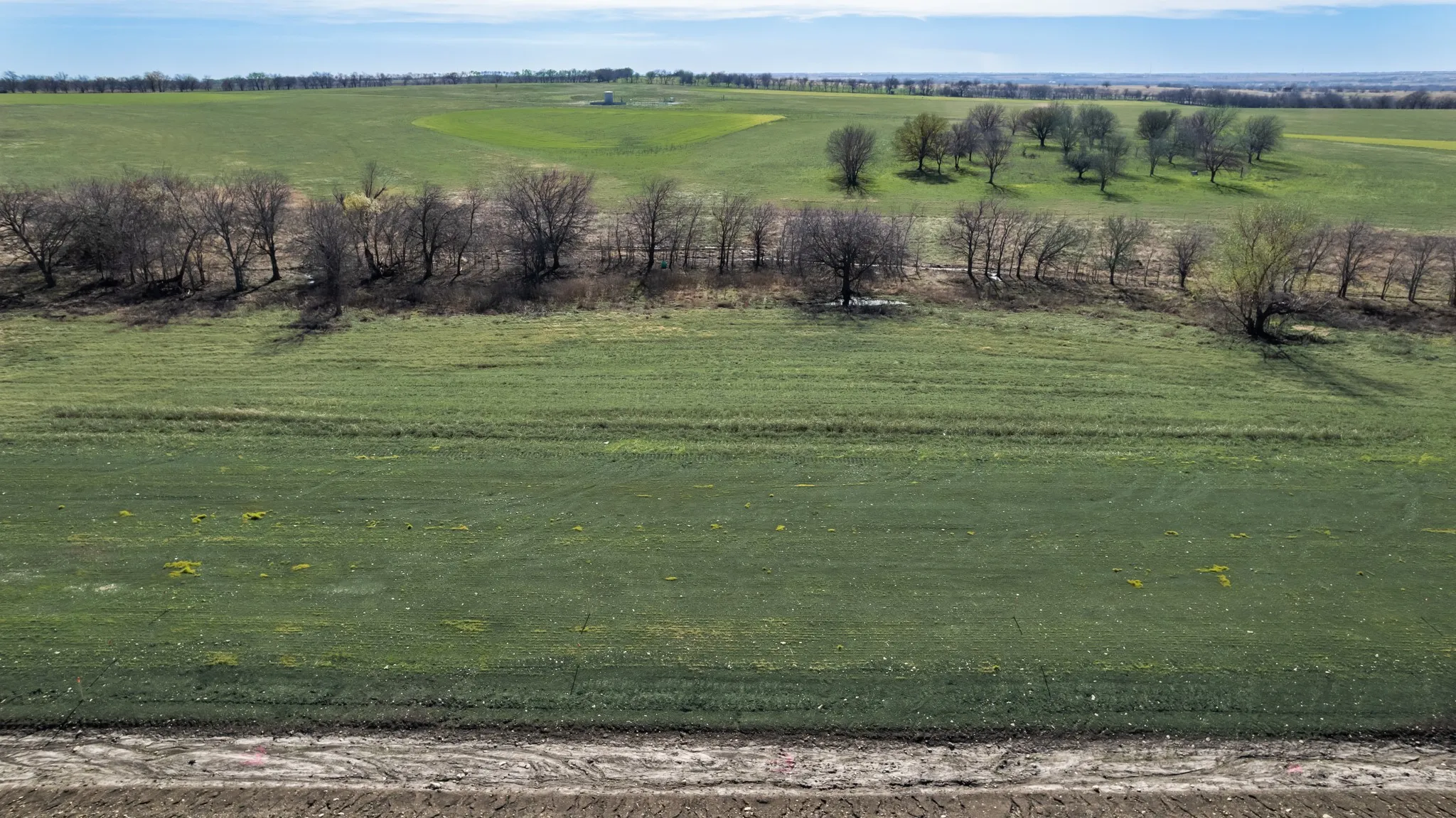 Unimproved Land For Sale in Denton County , TBD Bois D' Arc Lane, Ponder, Texas 76259, 0, 0, Garage spaces, 0 Sqft, built in 0, mls#21371822, Real Estate Agent in Ponder, Homes For Sale in Denton county, Homes For Sale in Ponder, Realtor in Ponder Texas, Real Estate Brokerage Independent Realty Texas, Luminita Cordes Realtor
