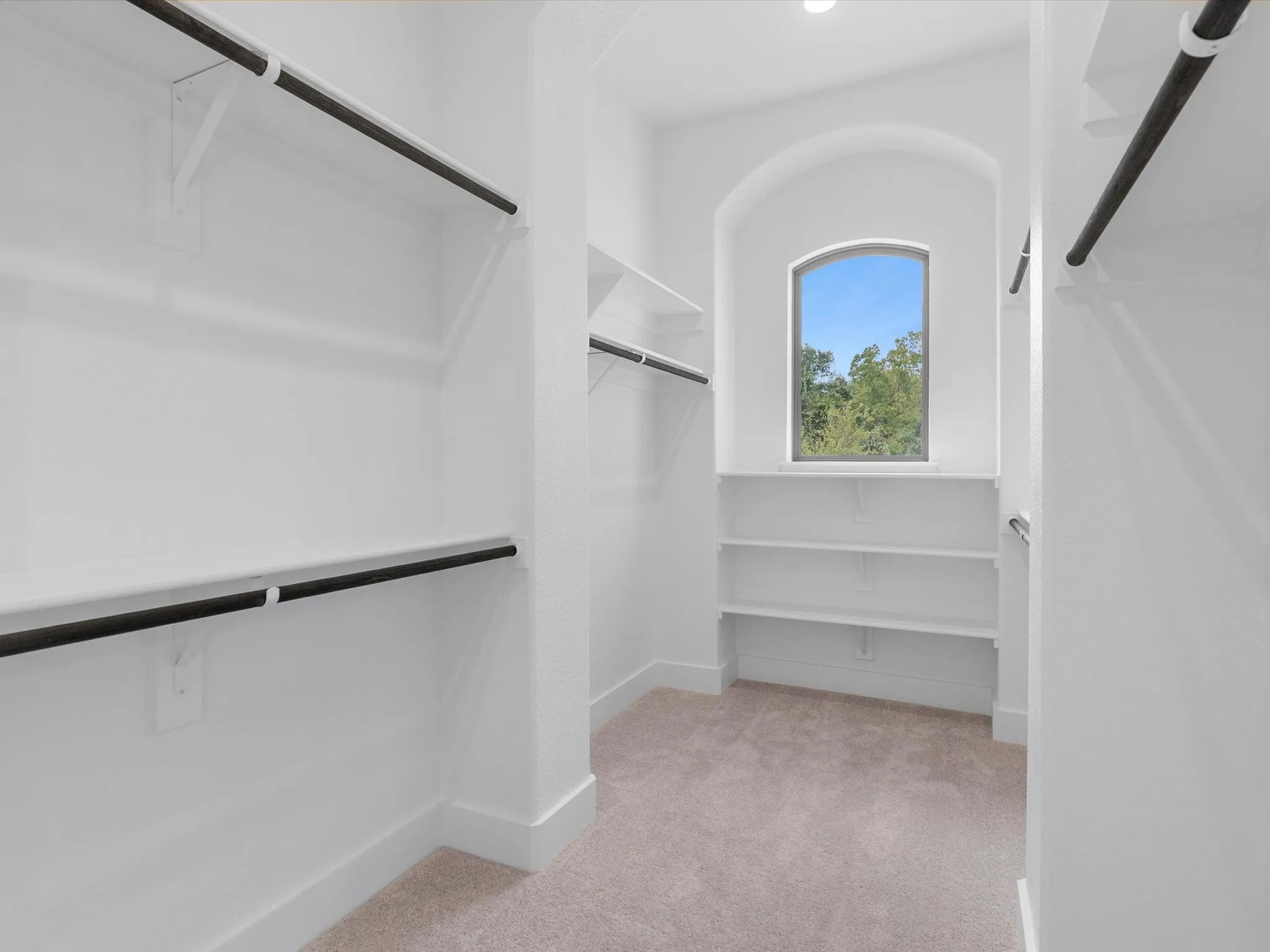 Walk-in closet featuring an arched window, built-in shelving, multiple hanging rods, and carpet flooring